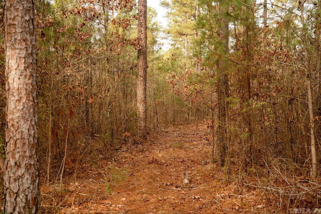 260 S Sawmill  Quitman, AR