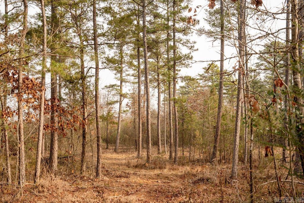 260 S Sawmill  Quitman, AR