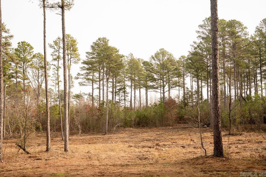 260 S Sawmill  Quitman, AR