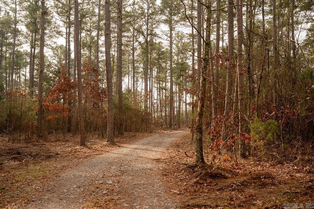 260 S Sawmill  Quitman, AR