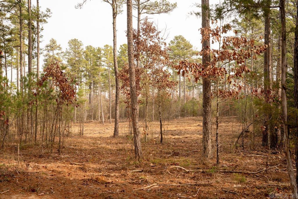 260 S Sawmill  Quitman, AR