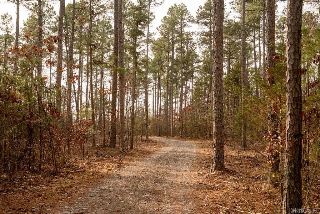 260 S Sawmill  Quitman, AR