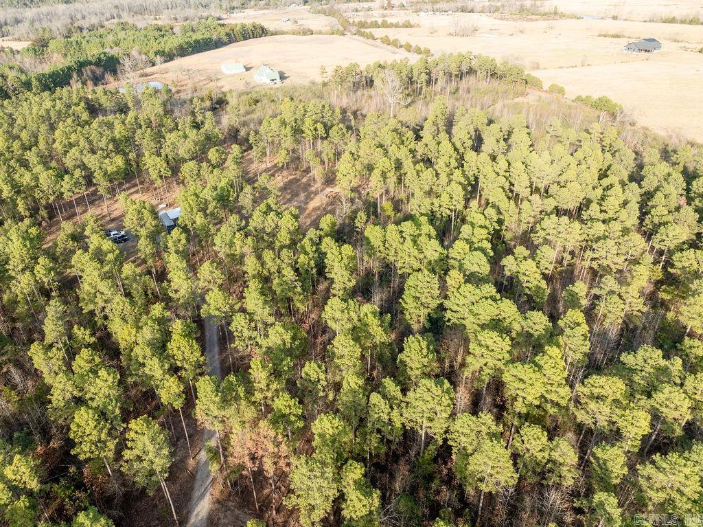 260 S Sawmill  Quitman, AR