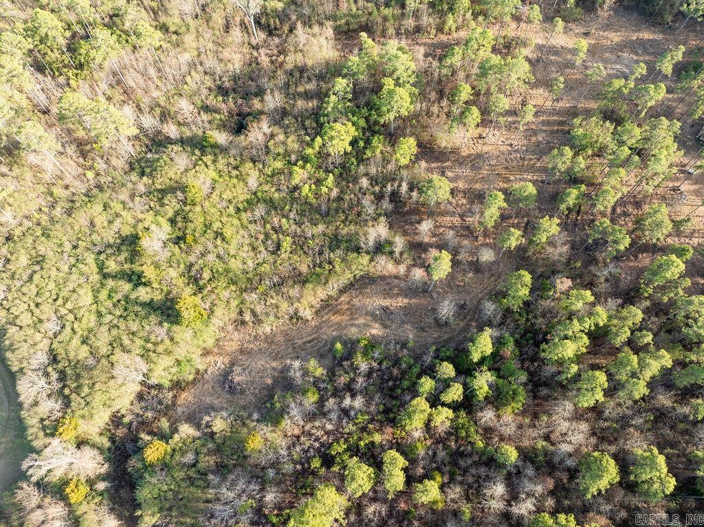 260 S Sawmill  Quitman, AR