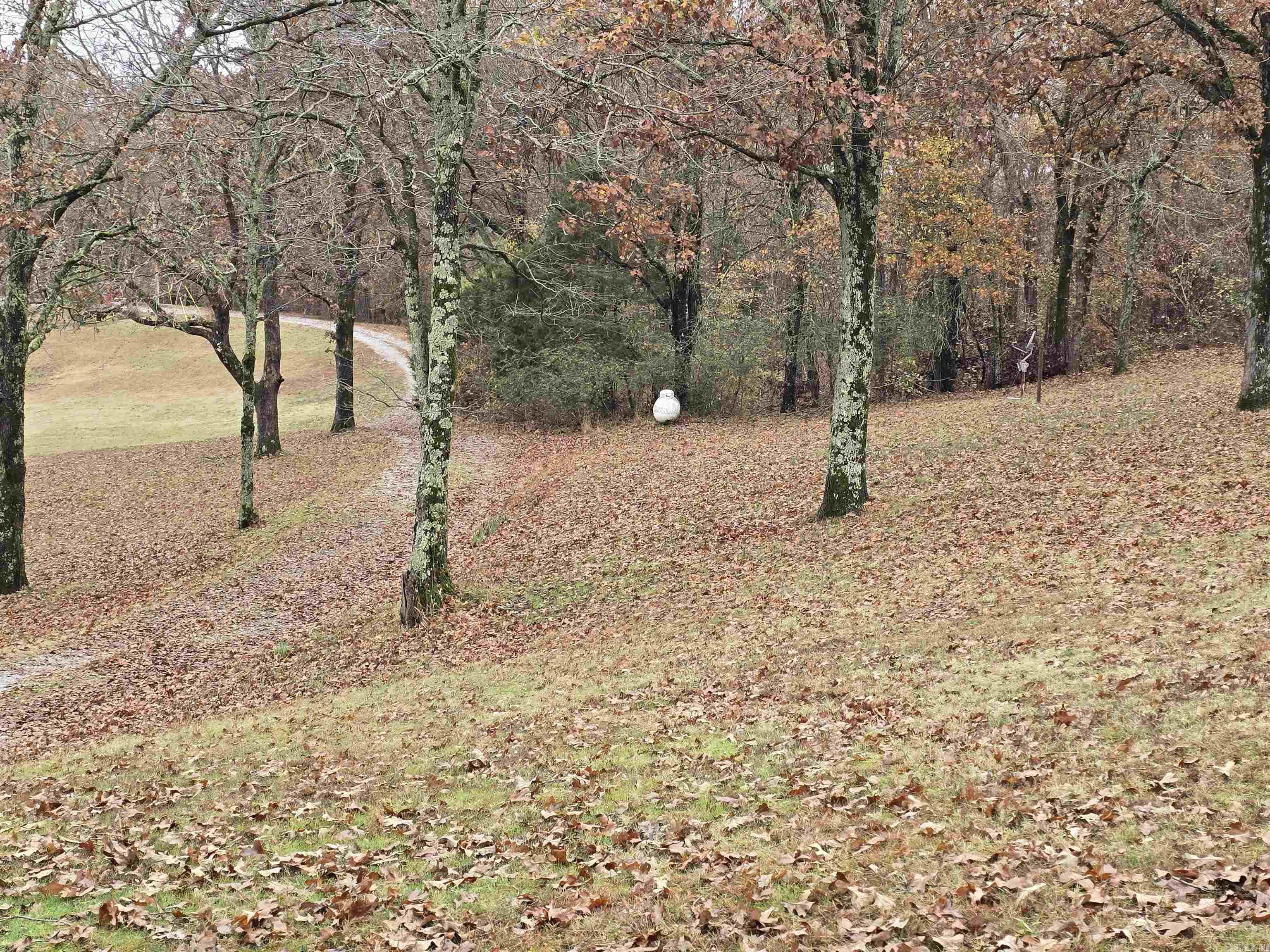 207 SFC 1003  Colt, AR