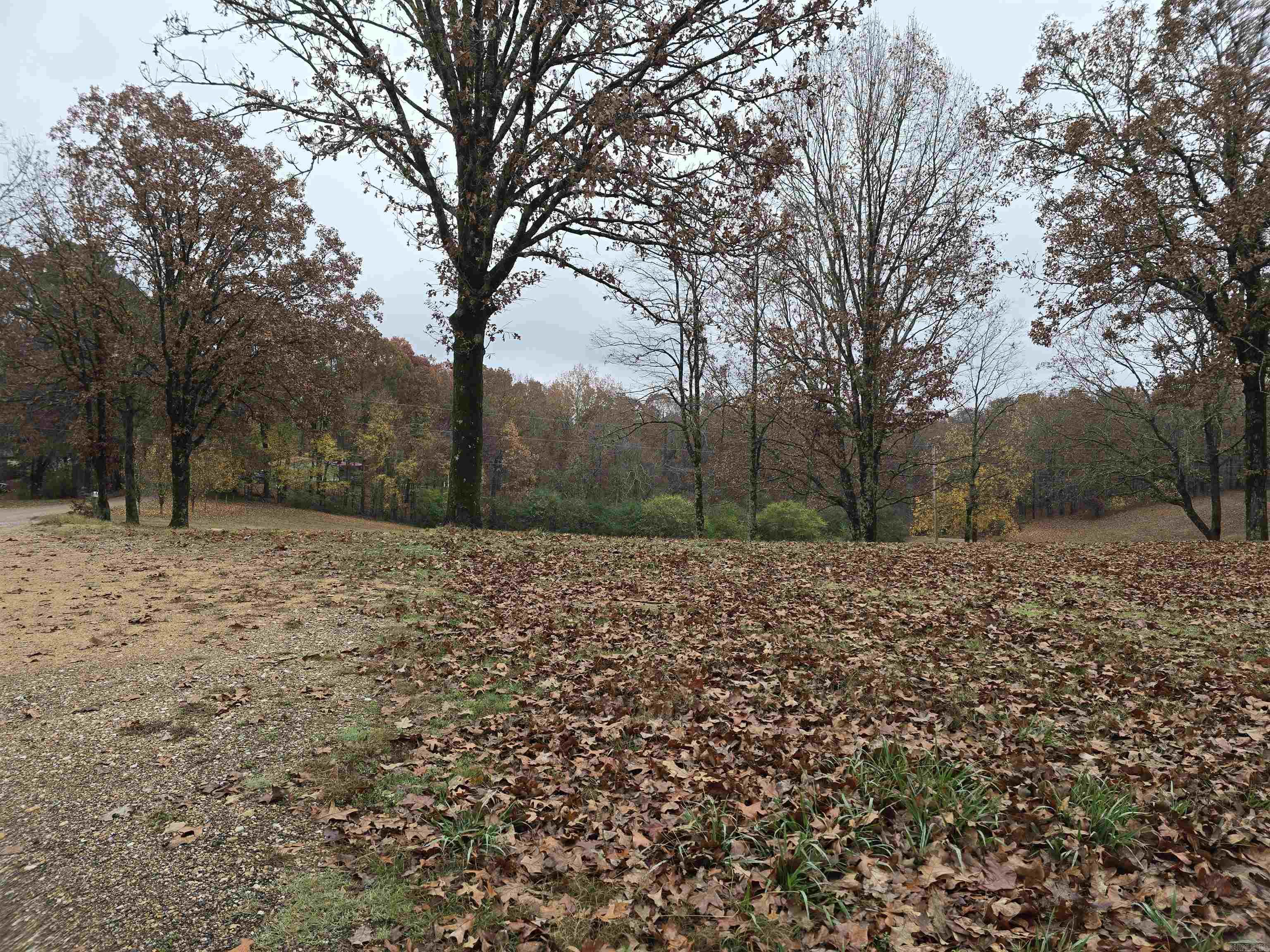 207 SFC 1003  Colt, AR