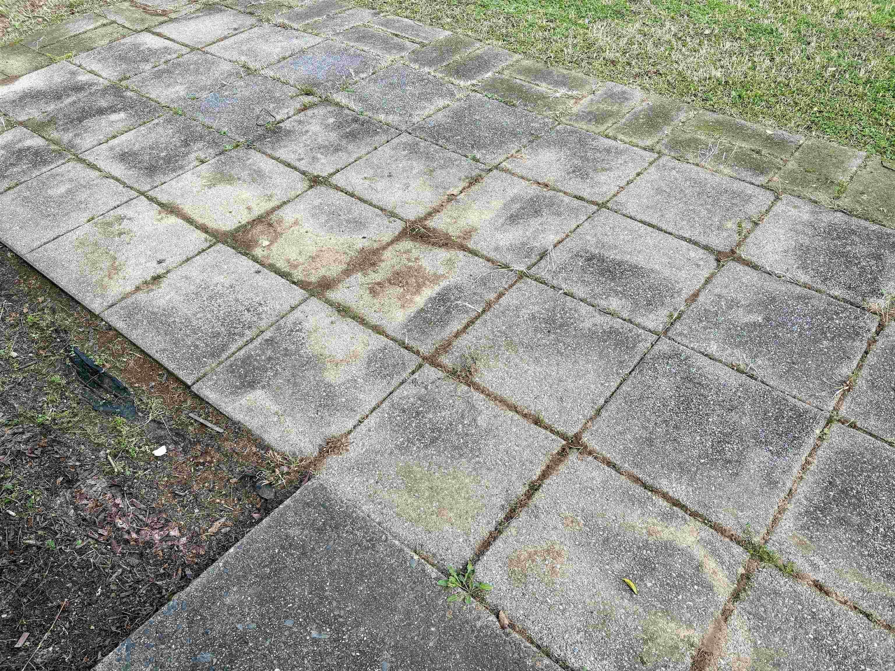 116 N Sawmill  Searcy, AR