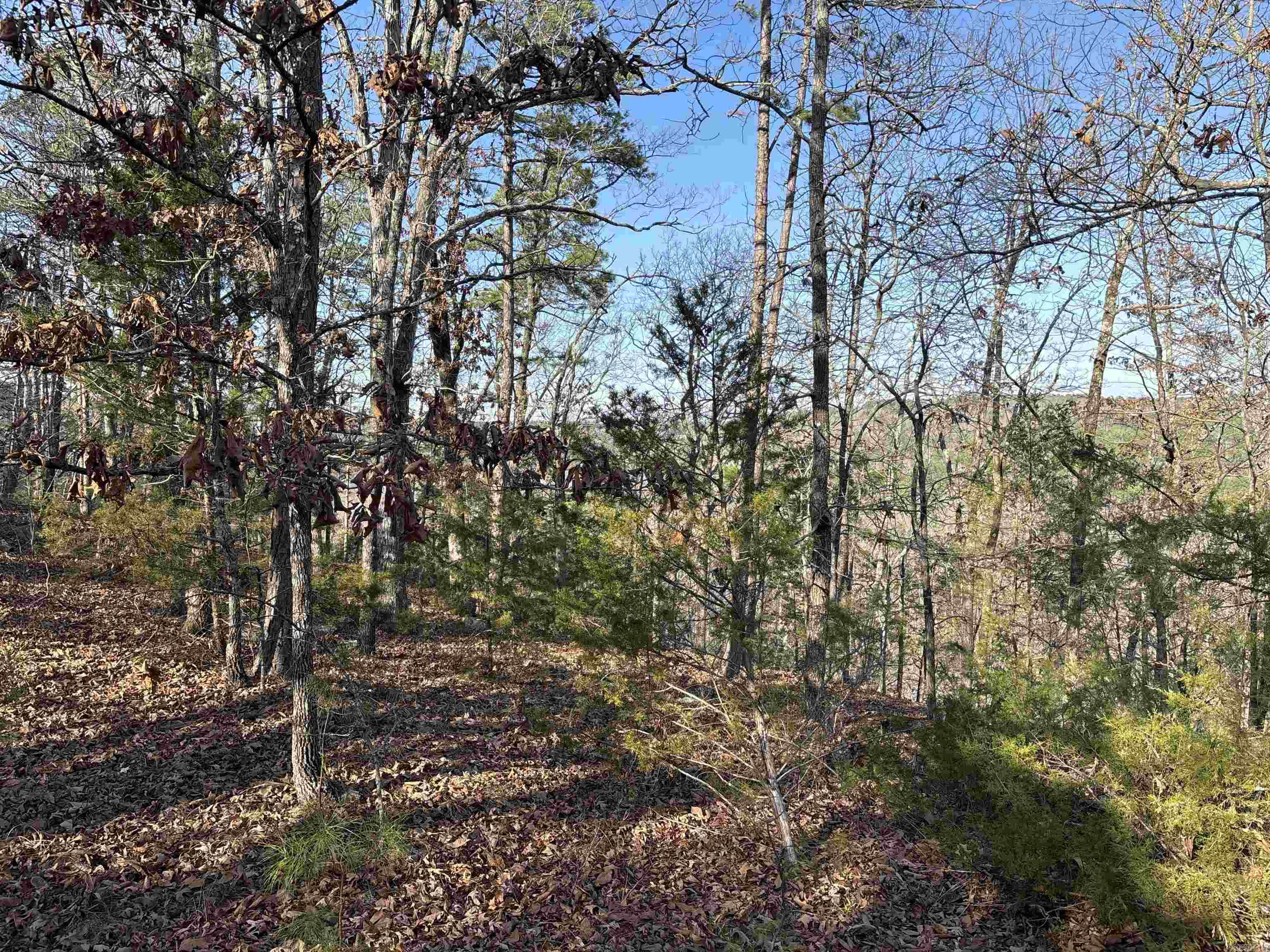 000 Bypass  Heber Springs, AR