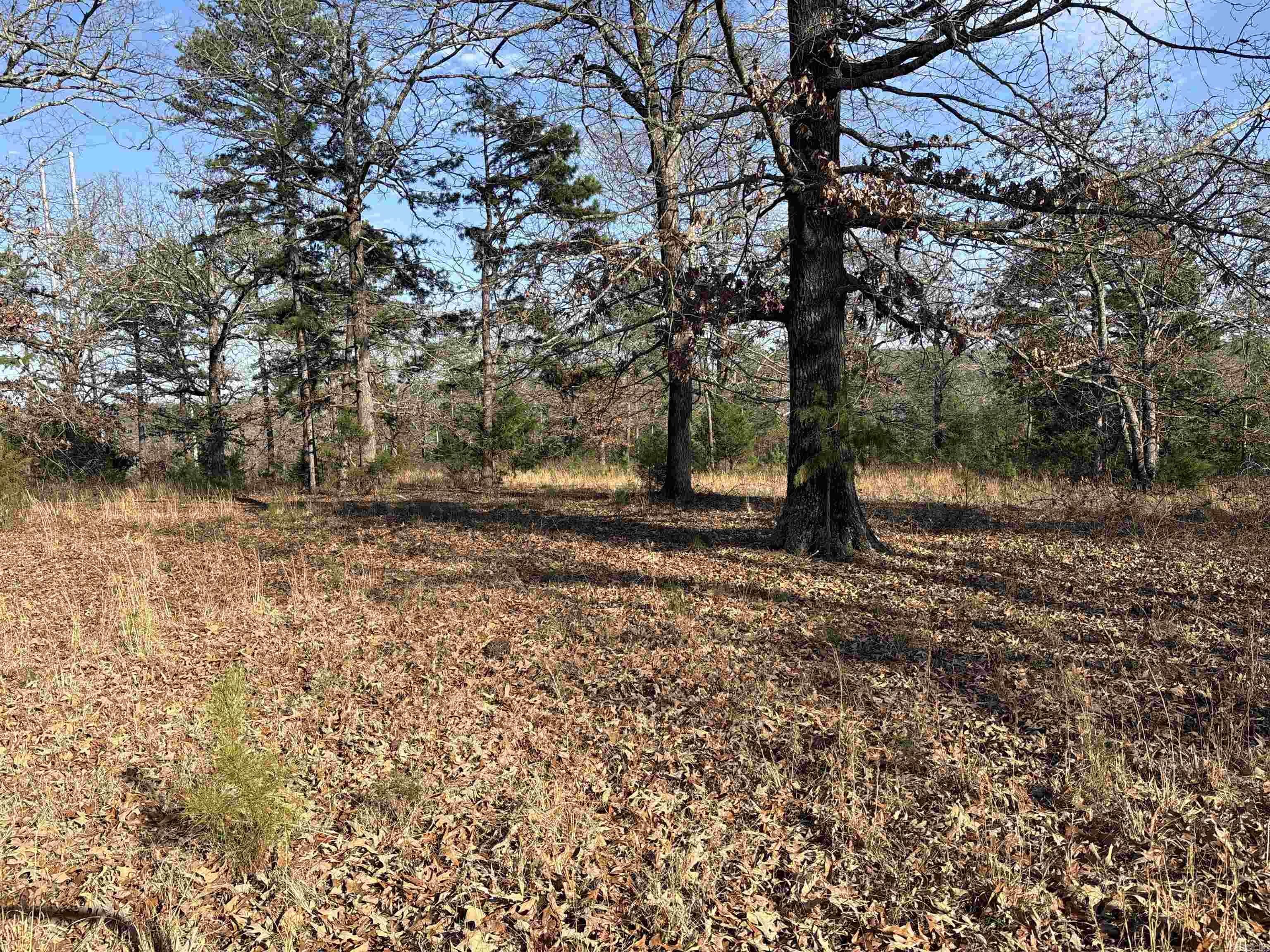 000 Bypass  Heber Springs, AR