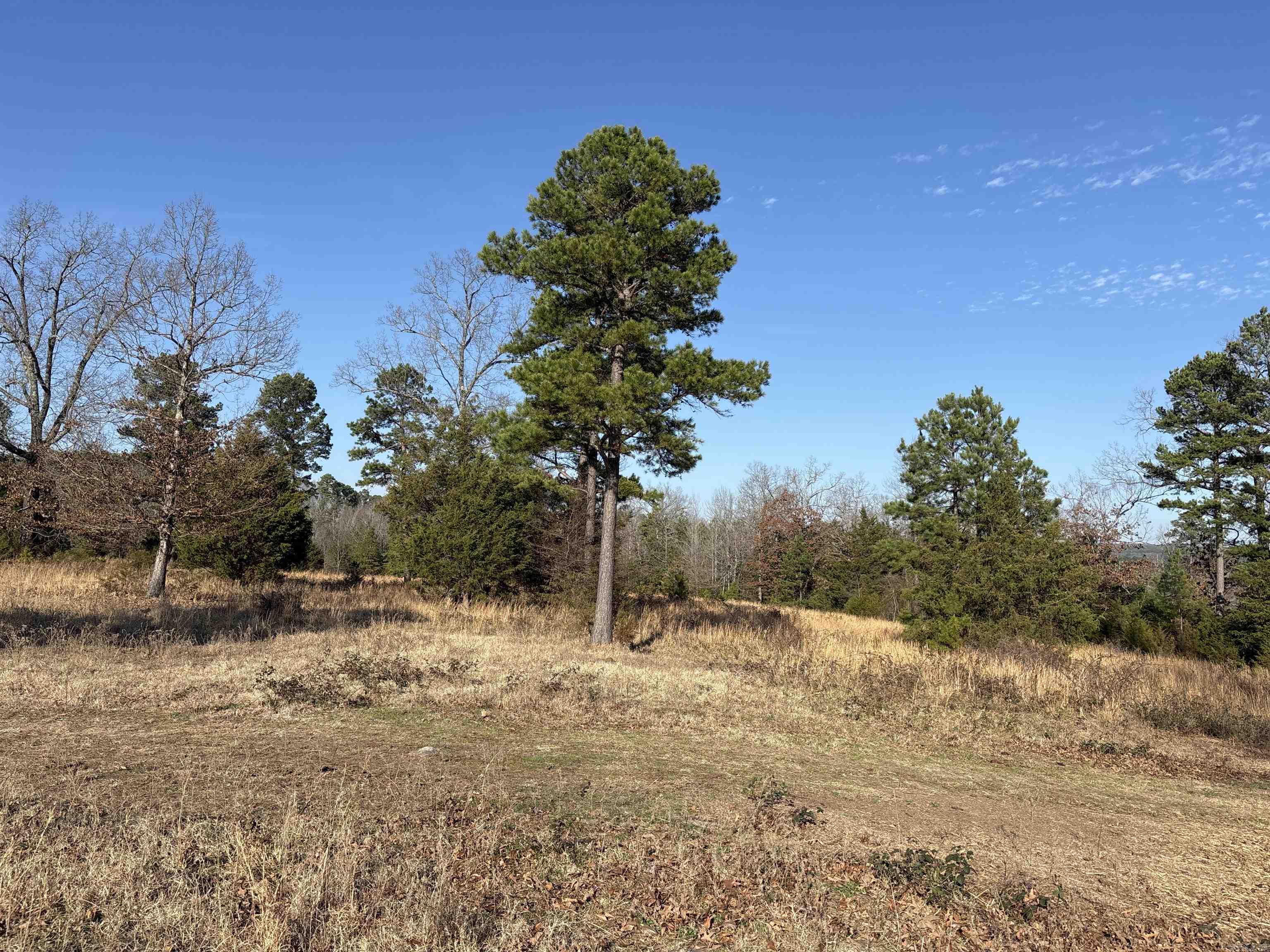 000 Bypass  Heber Springs, AR