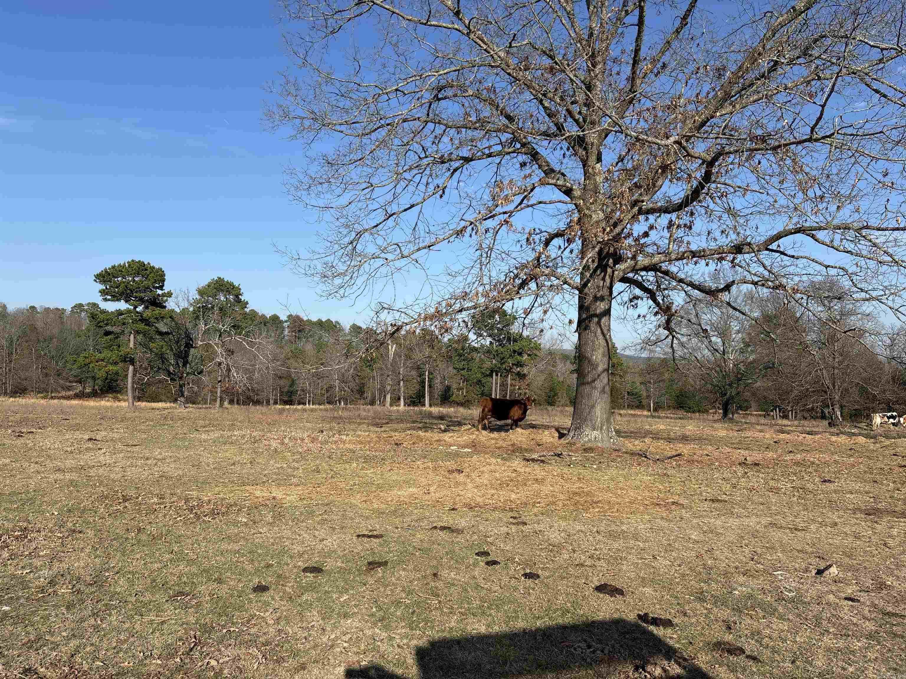 000 Bypass  Heber Springs, AR