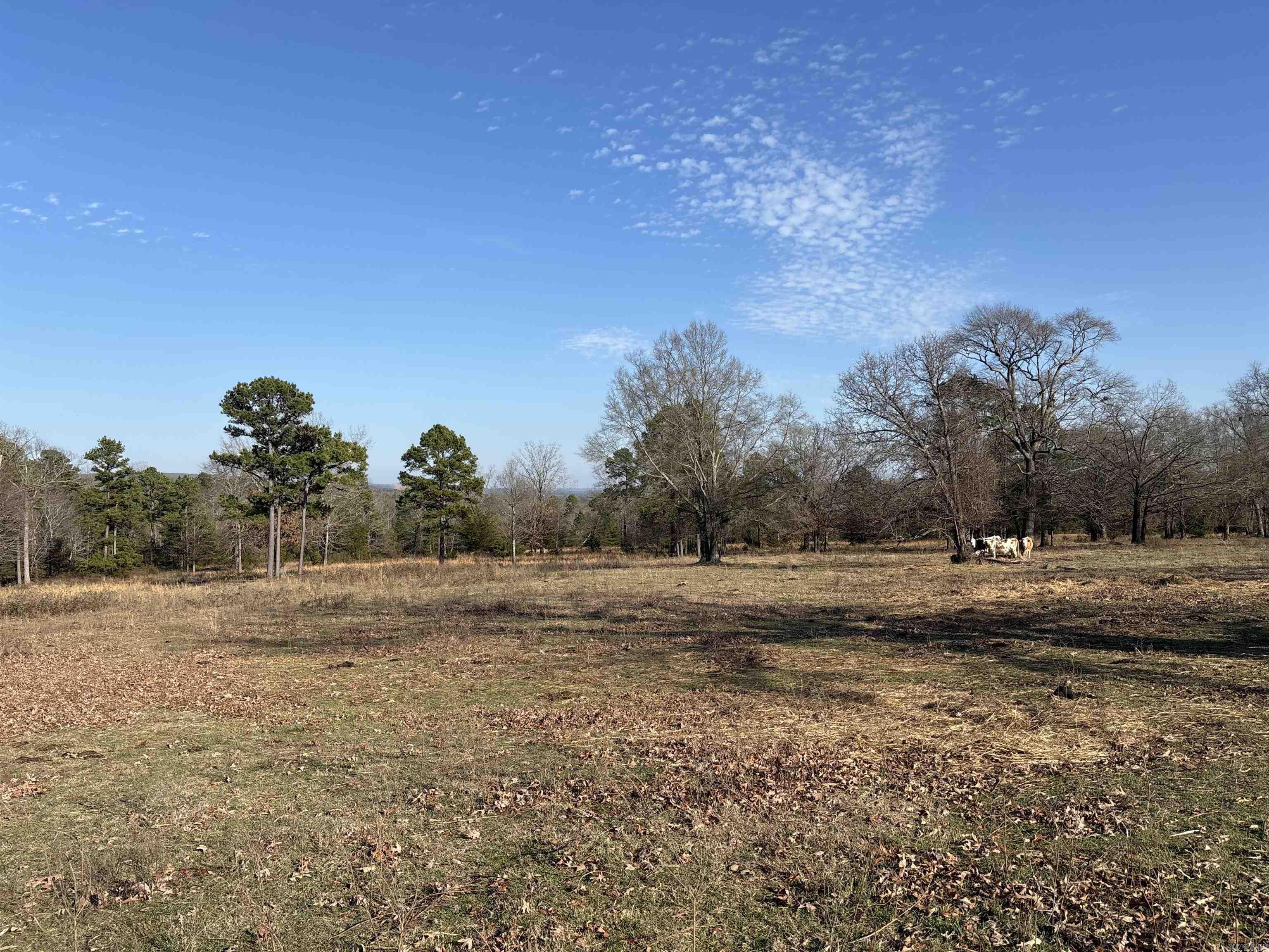 000 Bypass  Heber Springs, AR