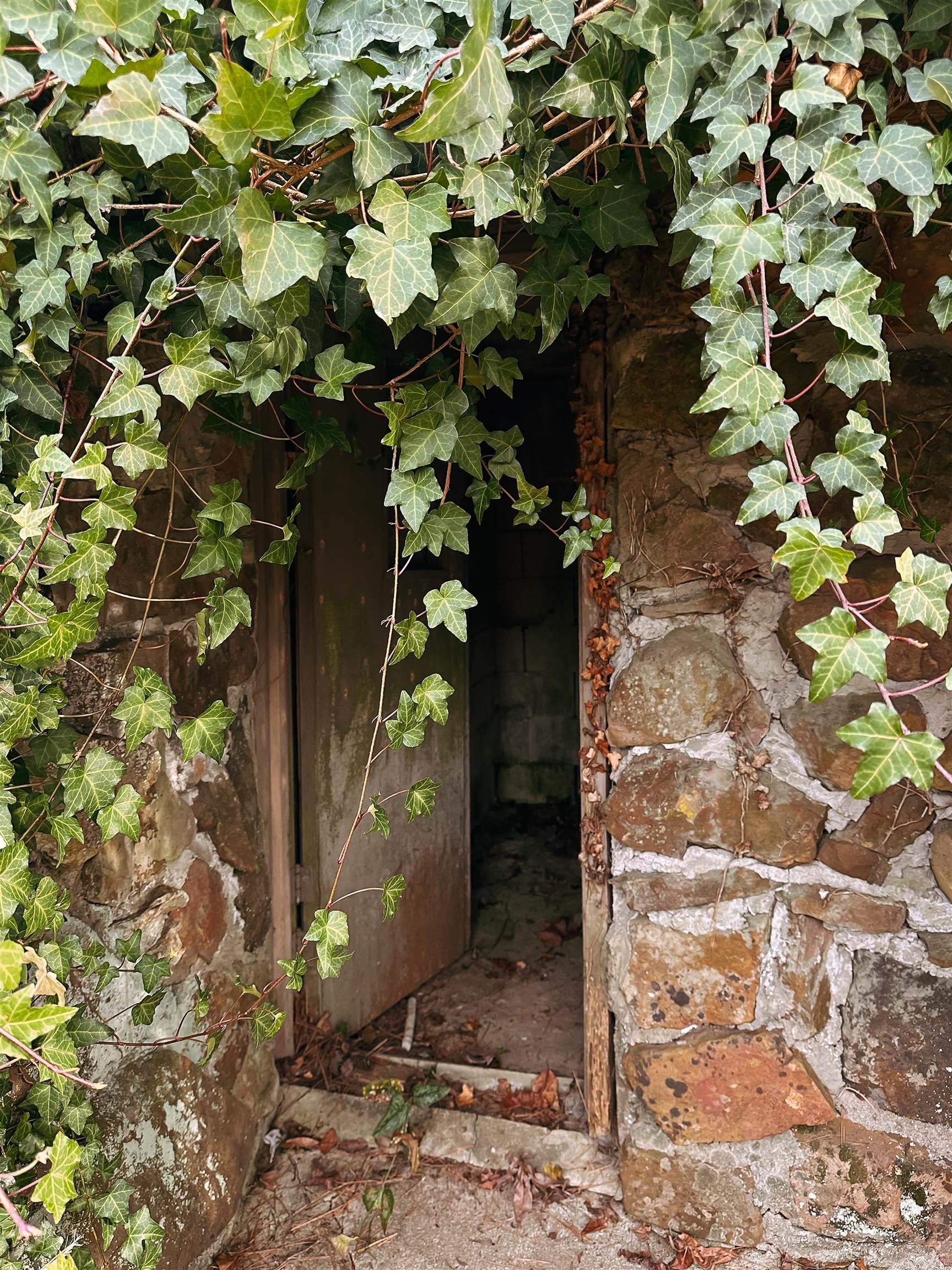 410 Pine Acres  Higden, AR