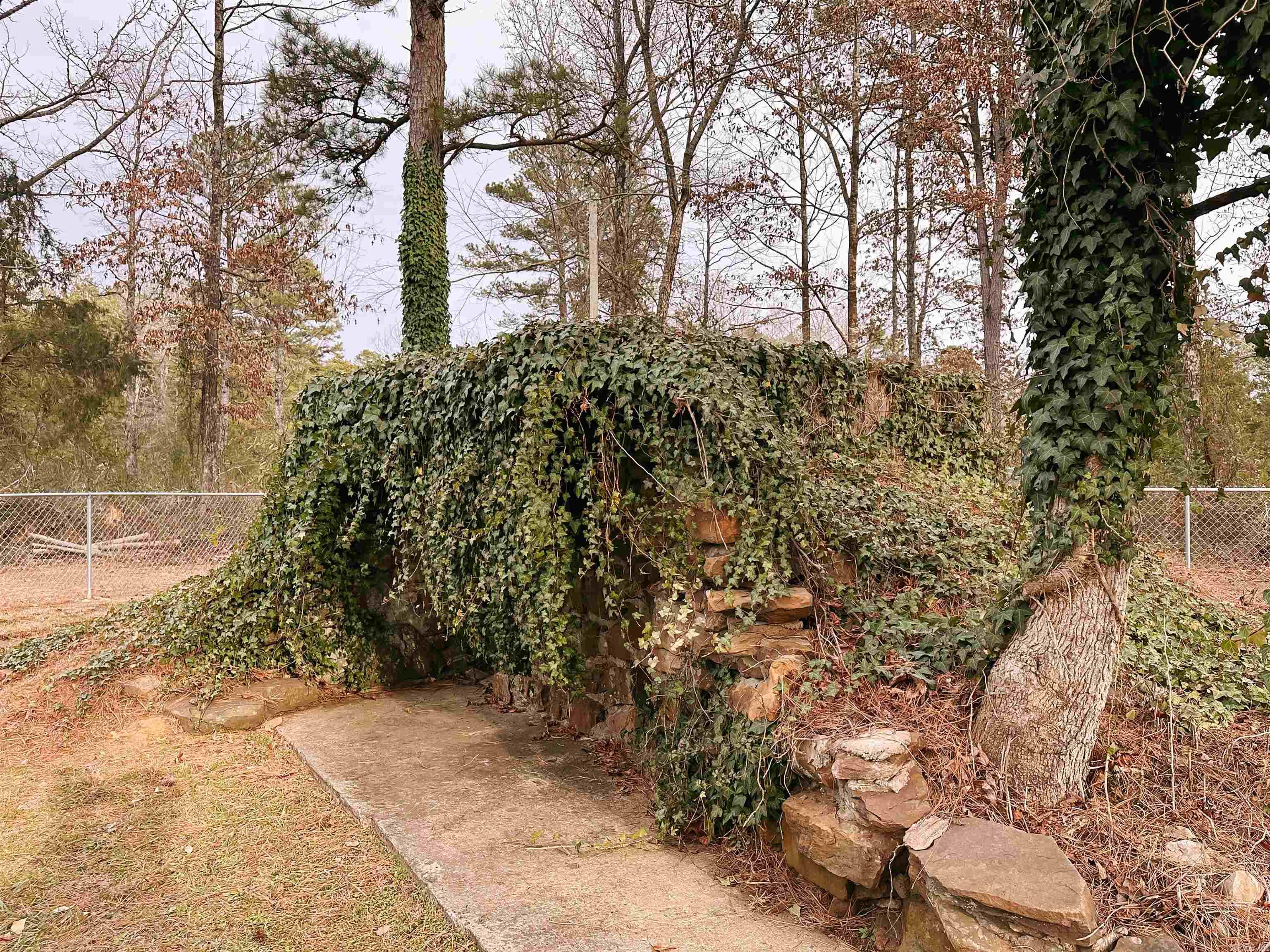 410 Pine Acres  Higden, AR