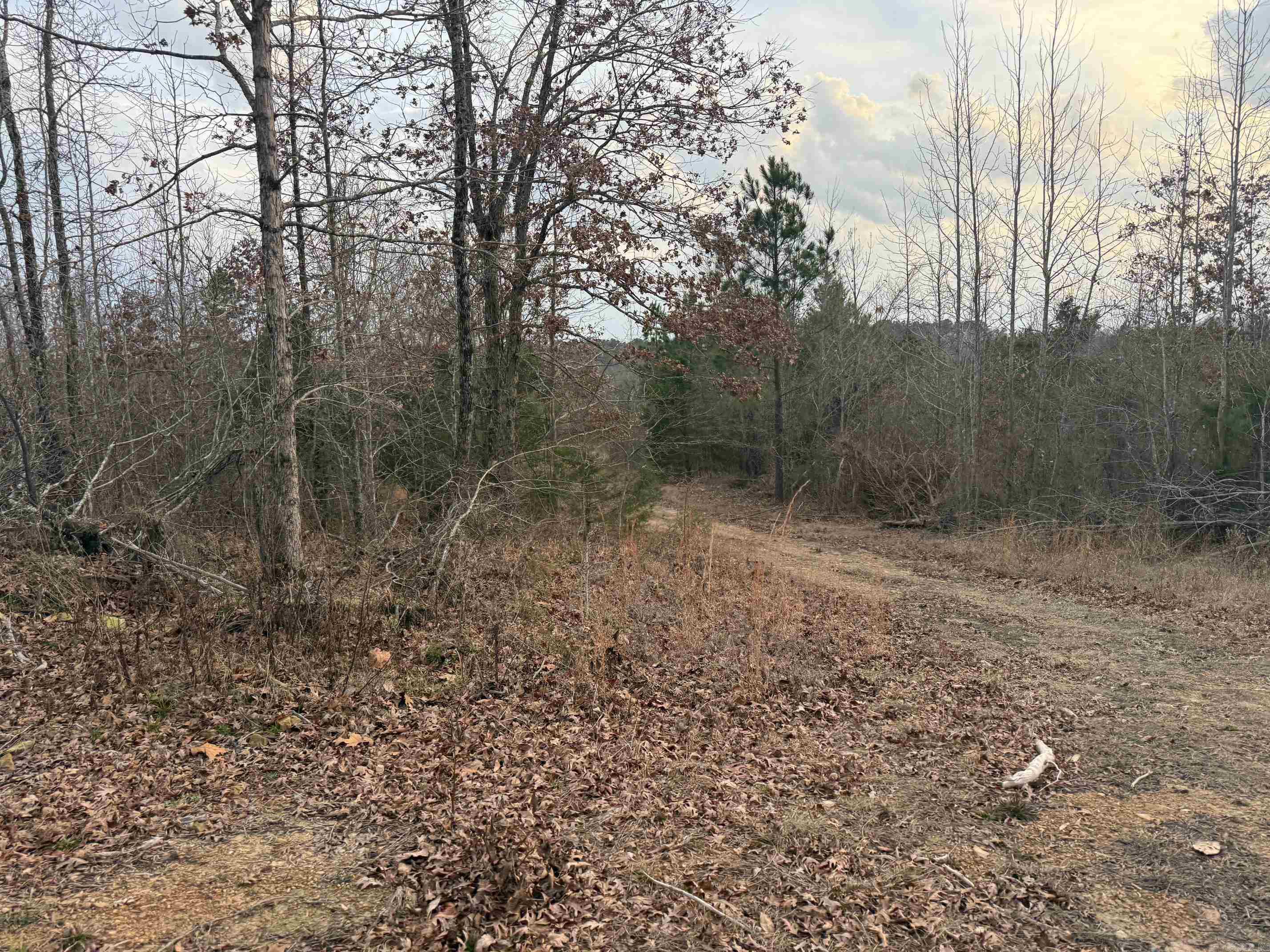TBD Easement Road Polk 414  Mena, AR