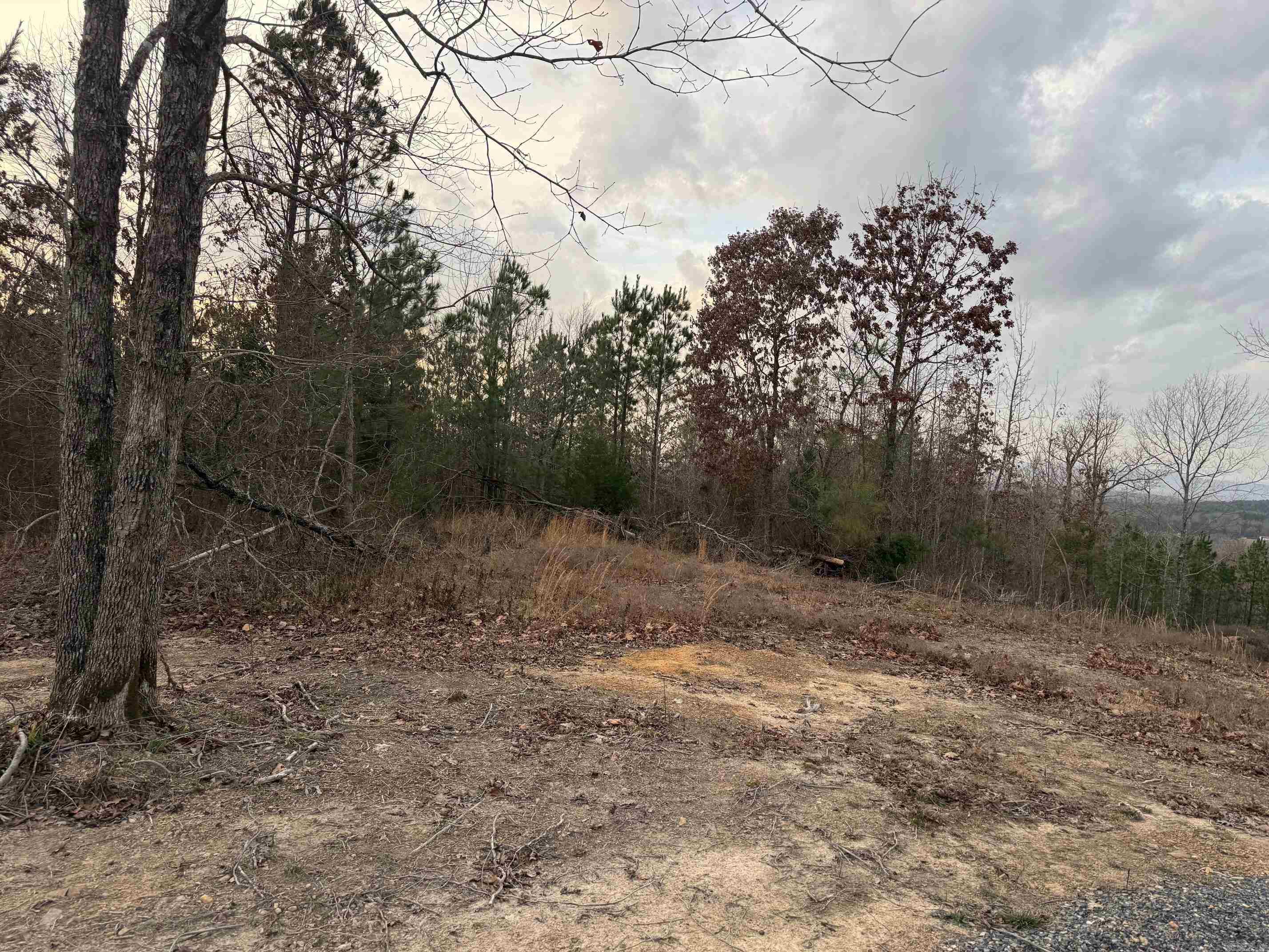 TBD Easement Road Polk 414  Mena, AR