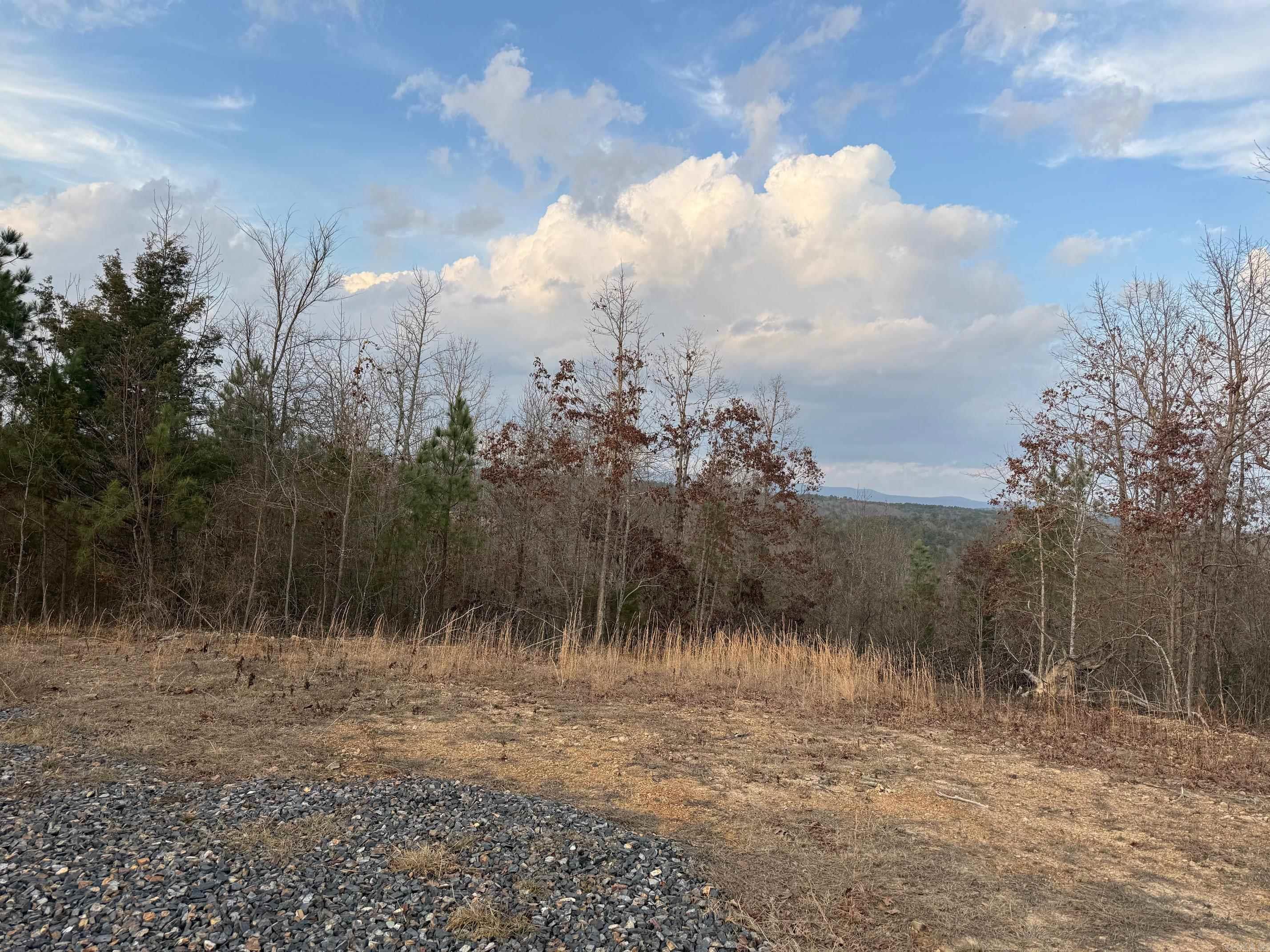 TBD Easement Road Polk 414  Mena, AR