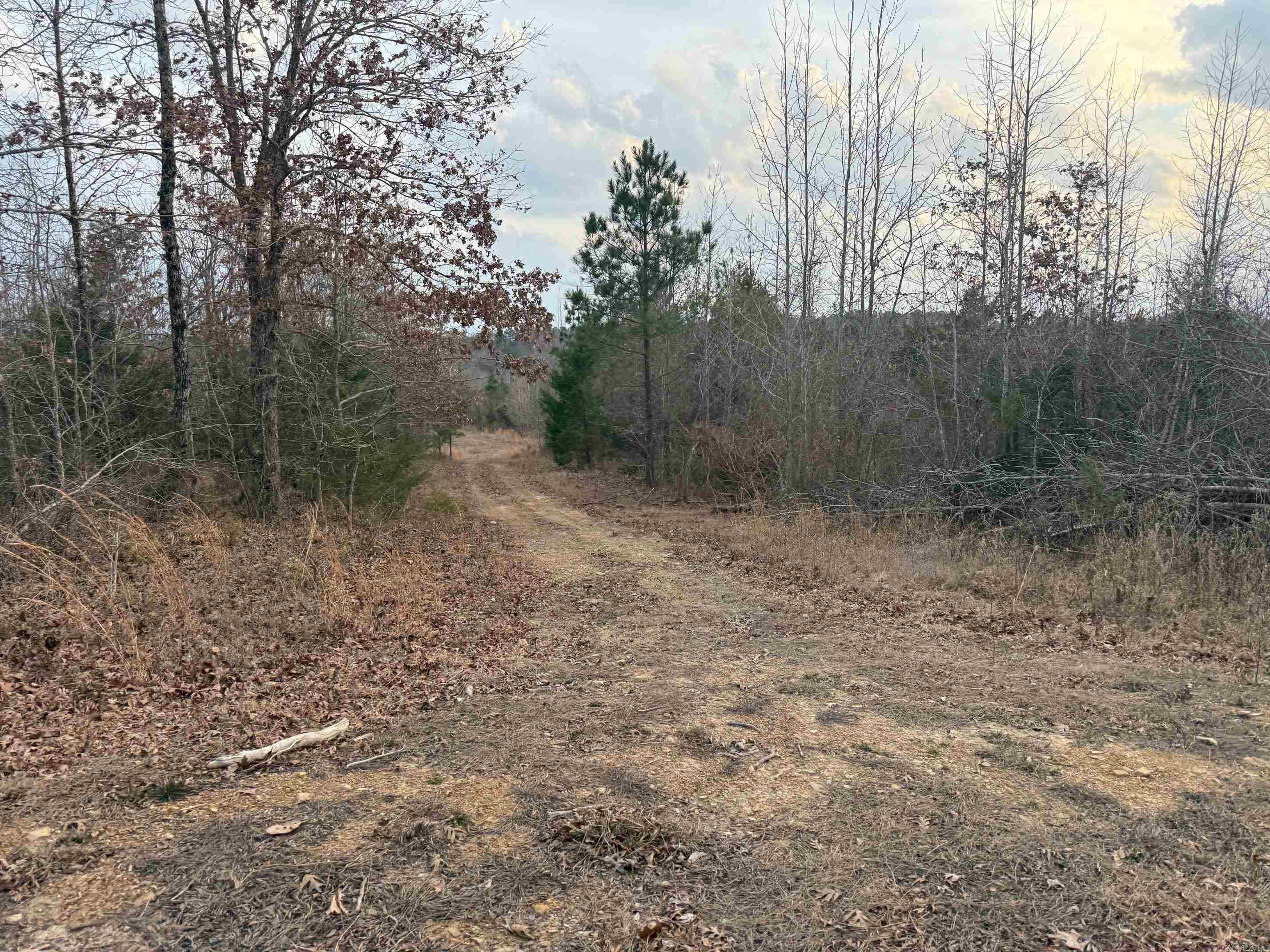 TBD Easement Road Polk 414  Mena, AR