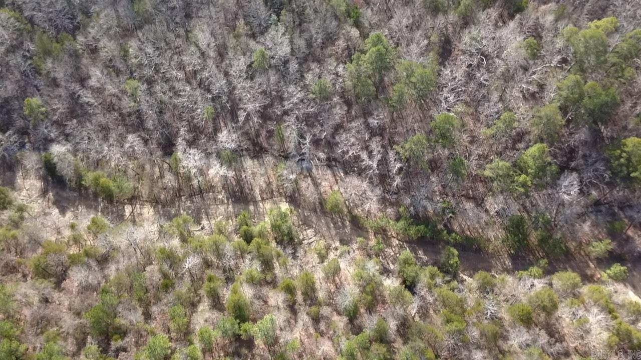 TBD Easement Road Polk 414  Mena, AR