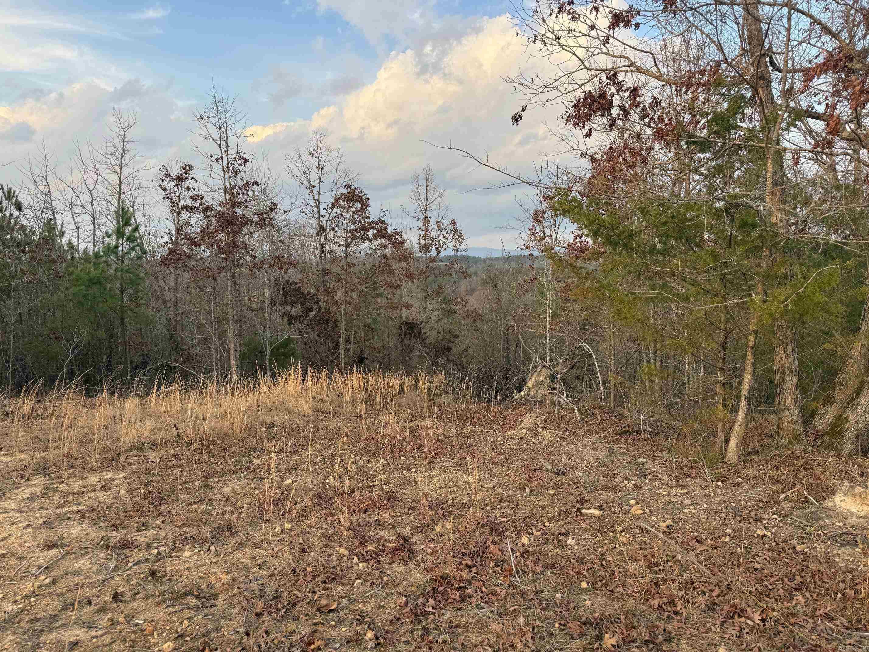 TBD Easement Road Polk 414  Mena, AR