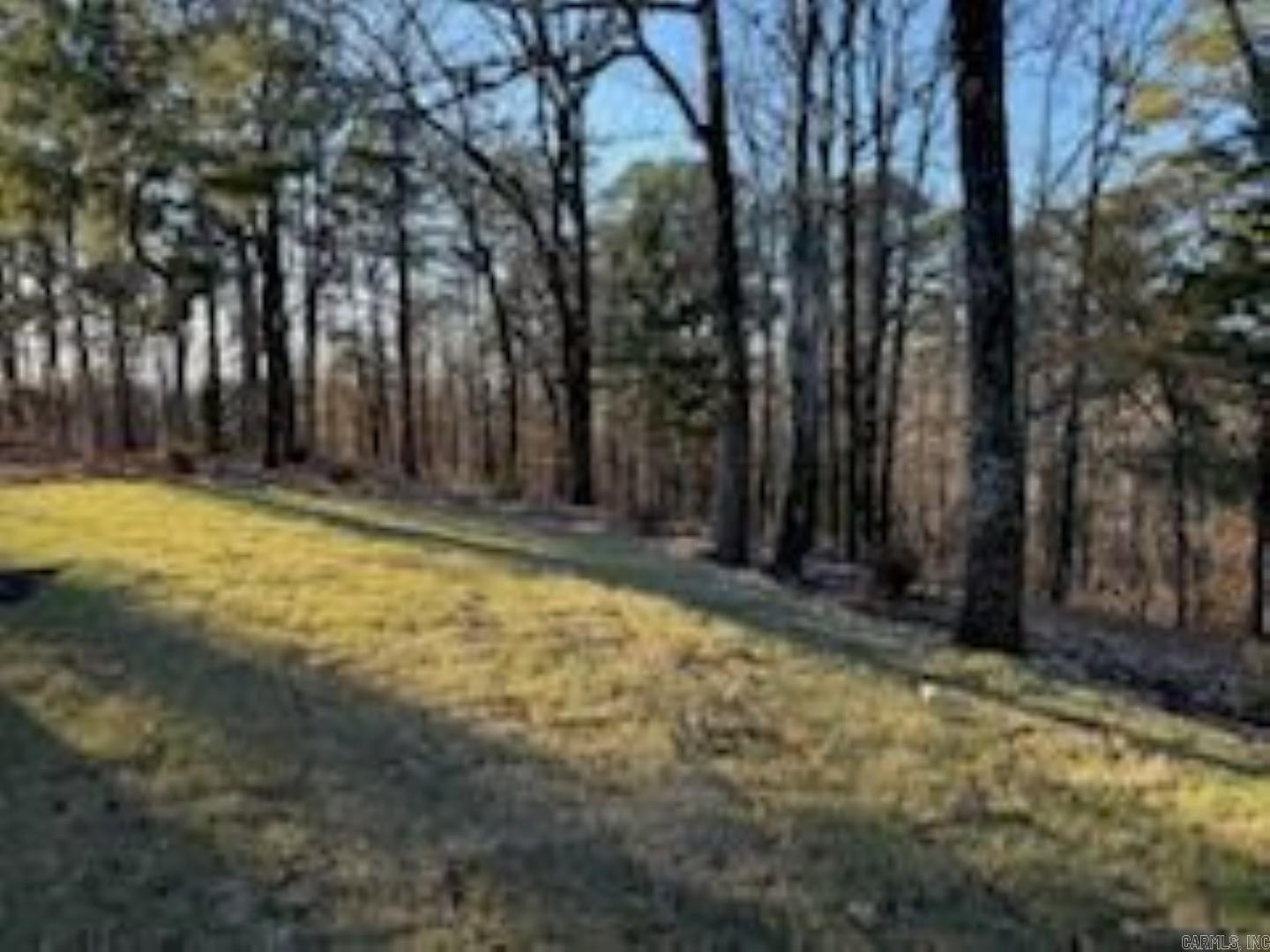 15203 Springer Road  Maumelle, AR