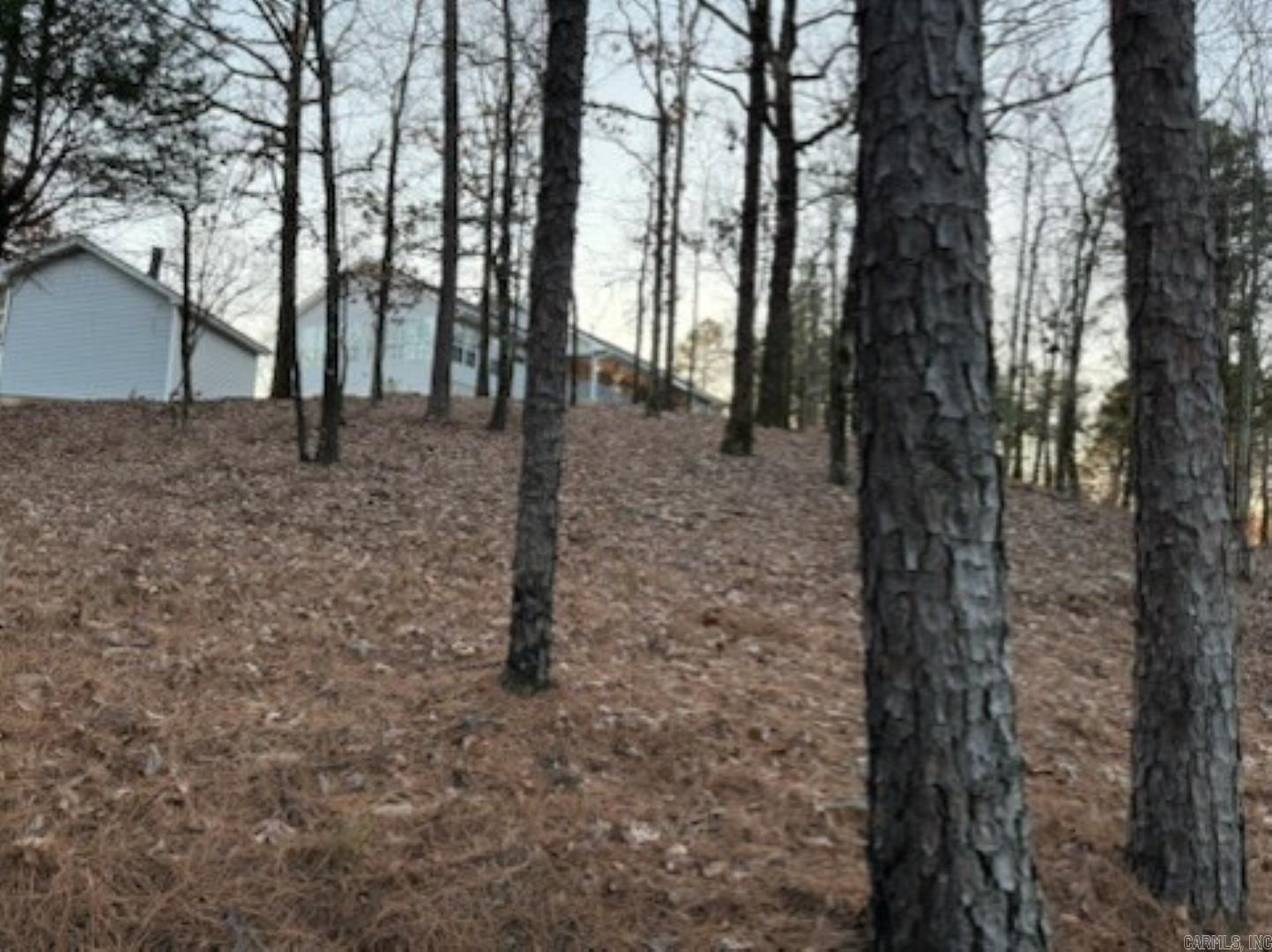 15203 Springer Road  Maumelle, AR