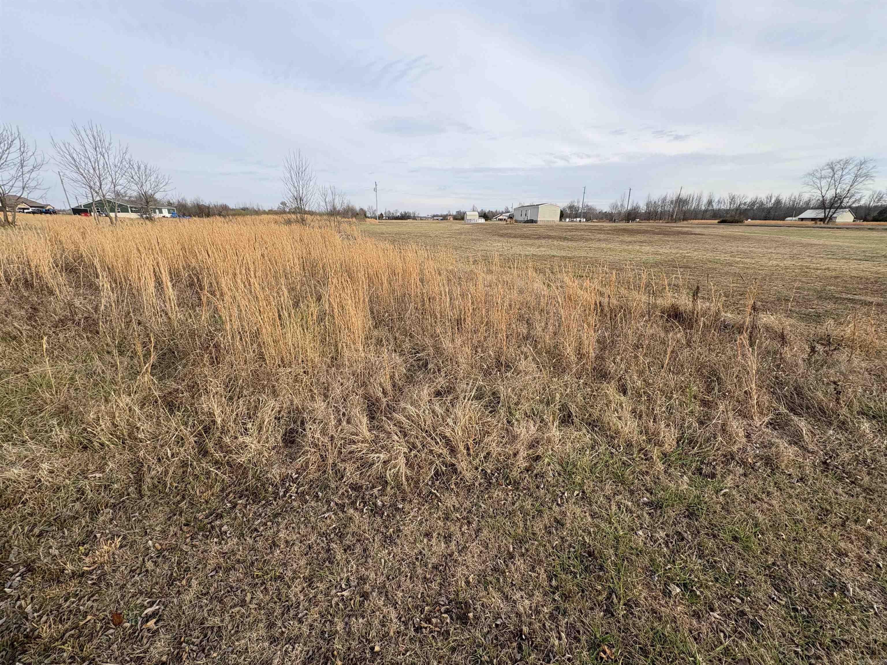 12 Autumnbrook  Conway, AR