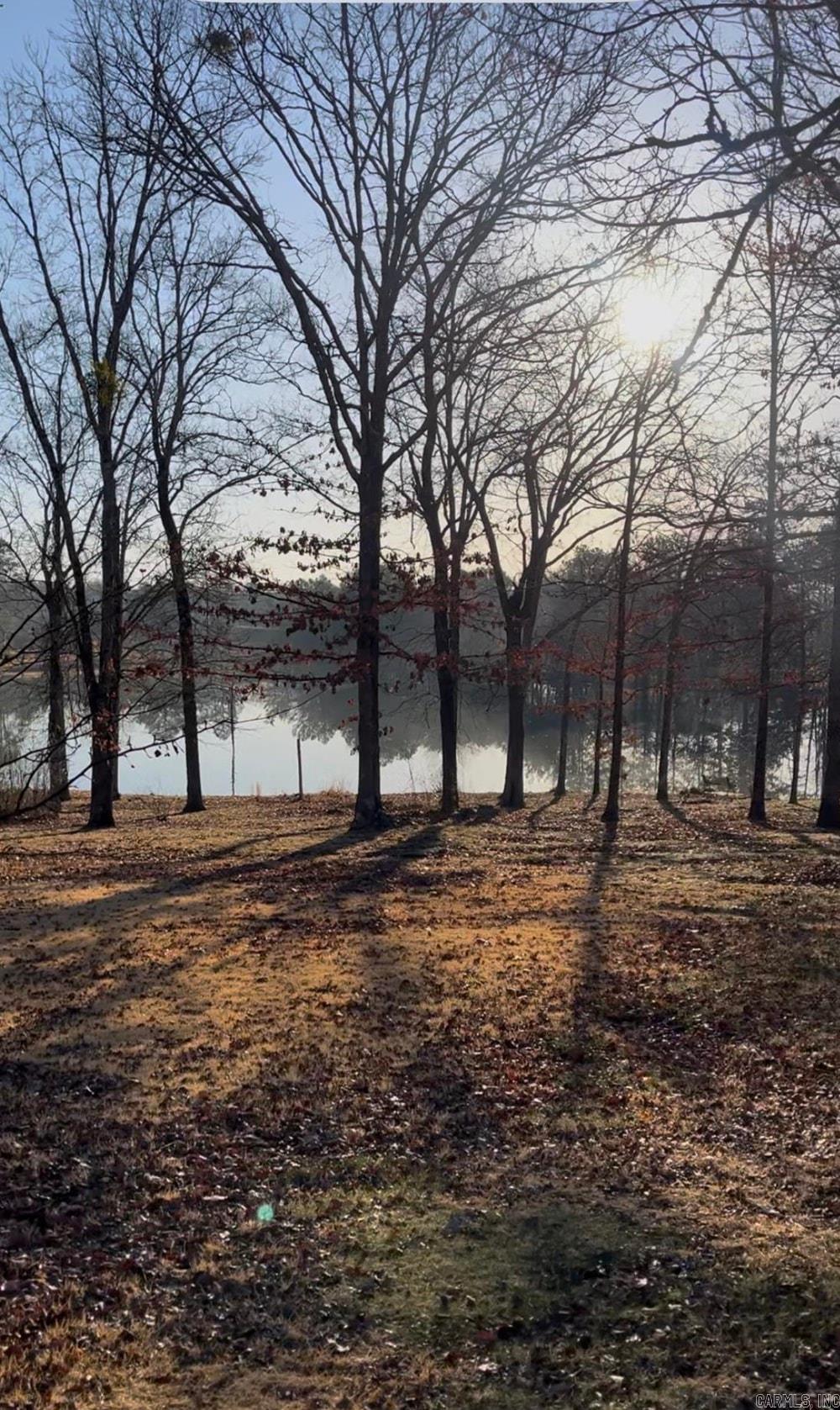 Clinton Kip Lane  Clinton, AR