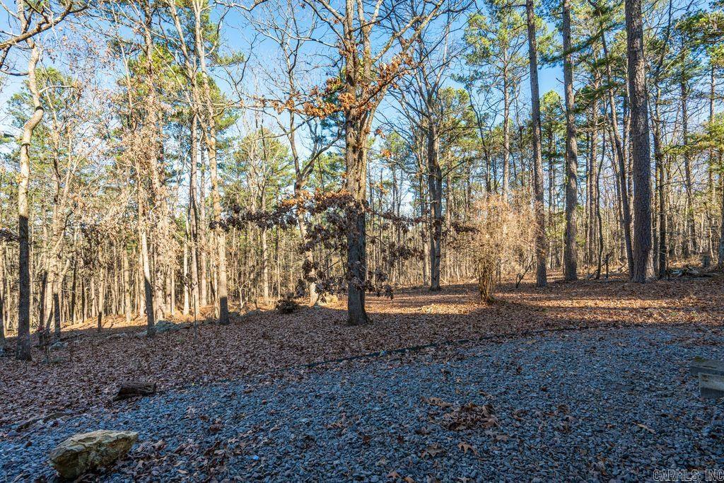 4 Narcisco Cir  Hot Springs Village, AR