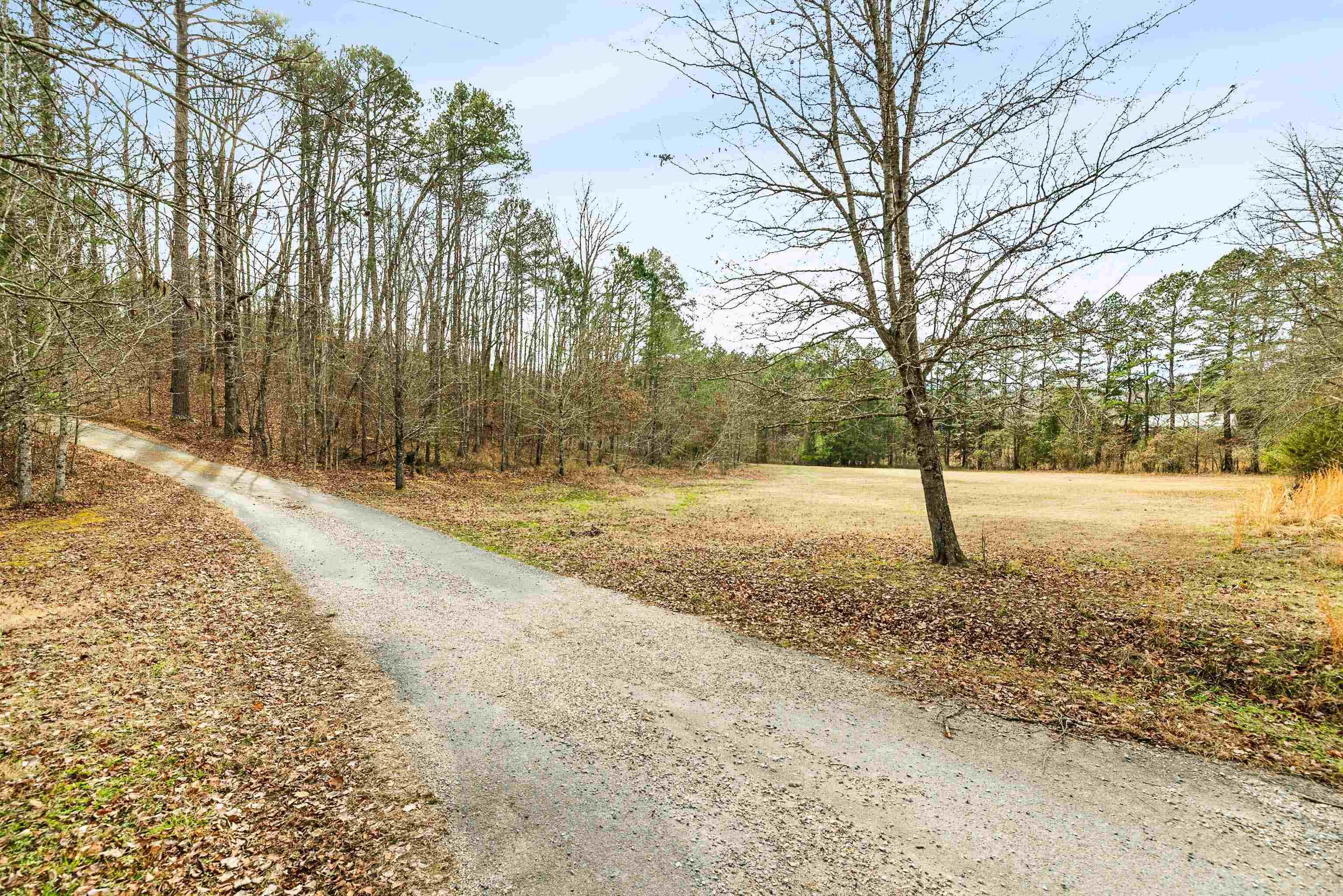 529 Owl Creek  Royal, AR