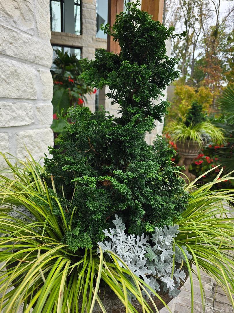 131 HALLEN Lane Little Rock, AR 72223