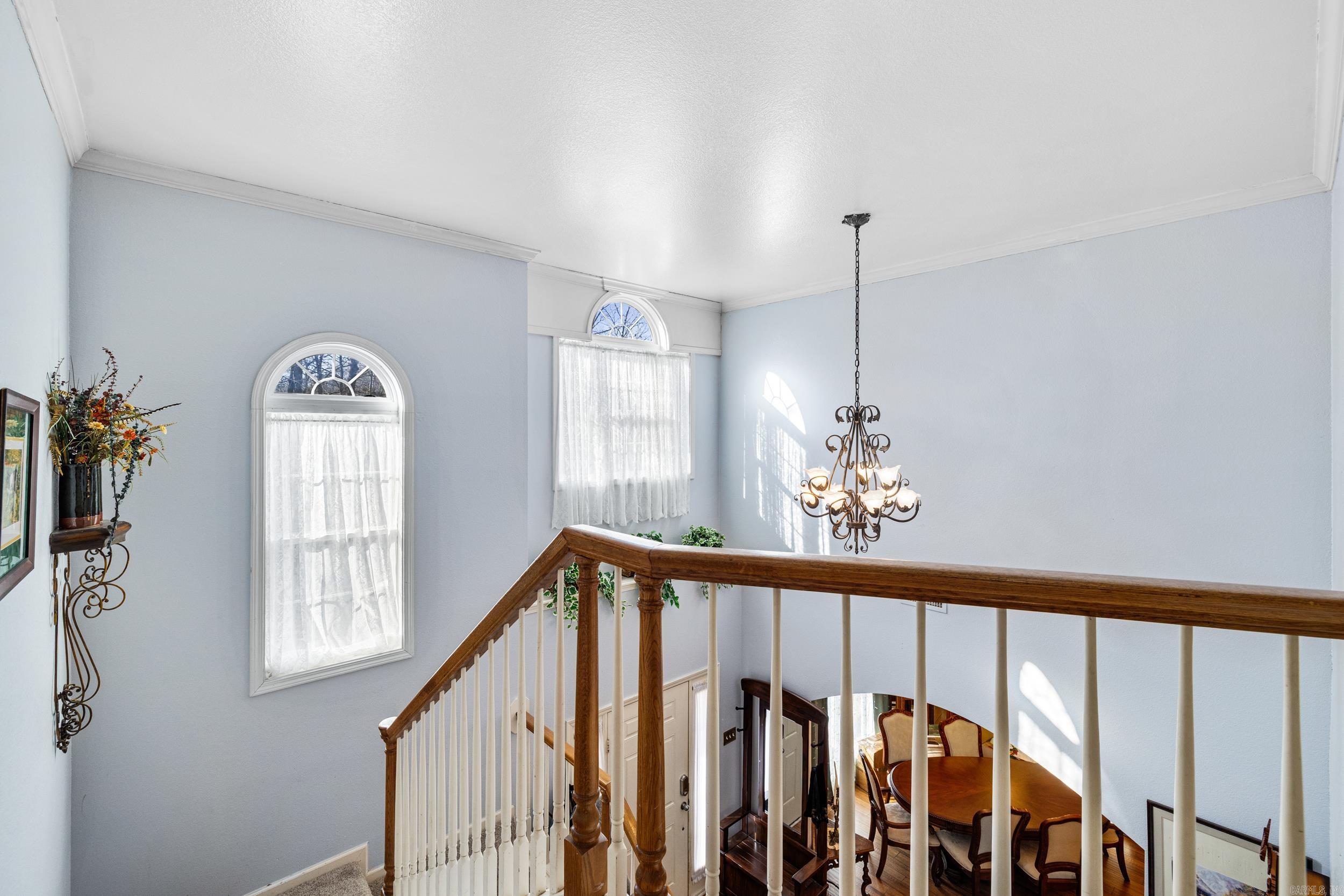 145 Eagles Nest Cove  Austin, AR