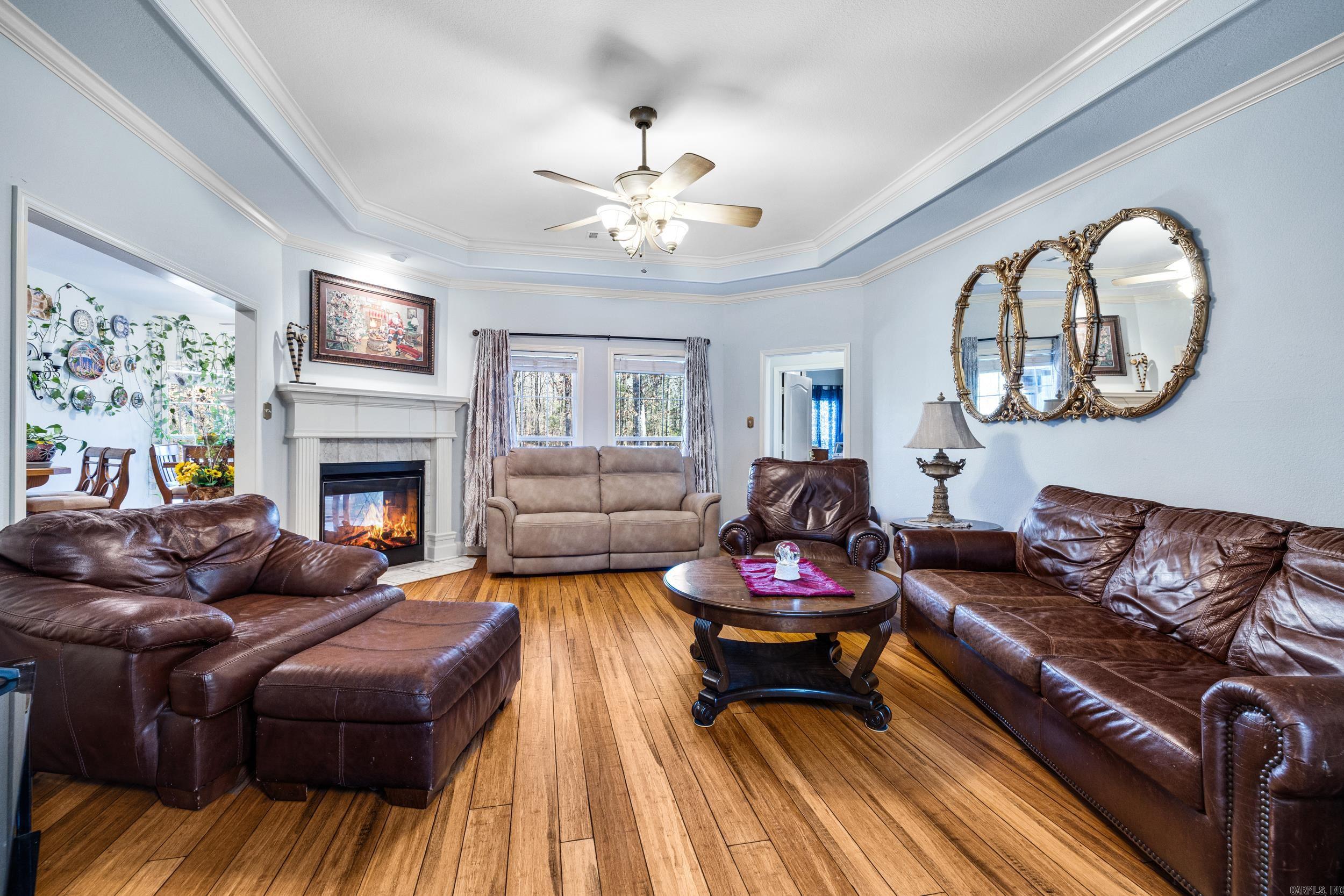 145 Eagles Nest Cove  Austin, AR