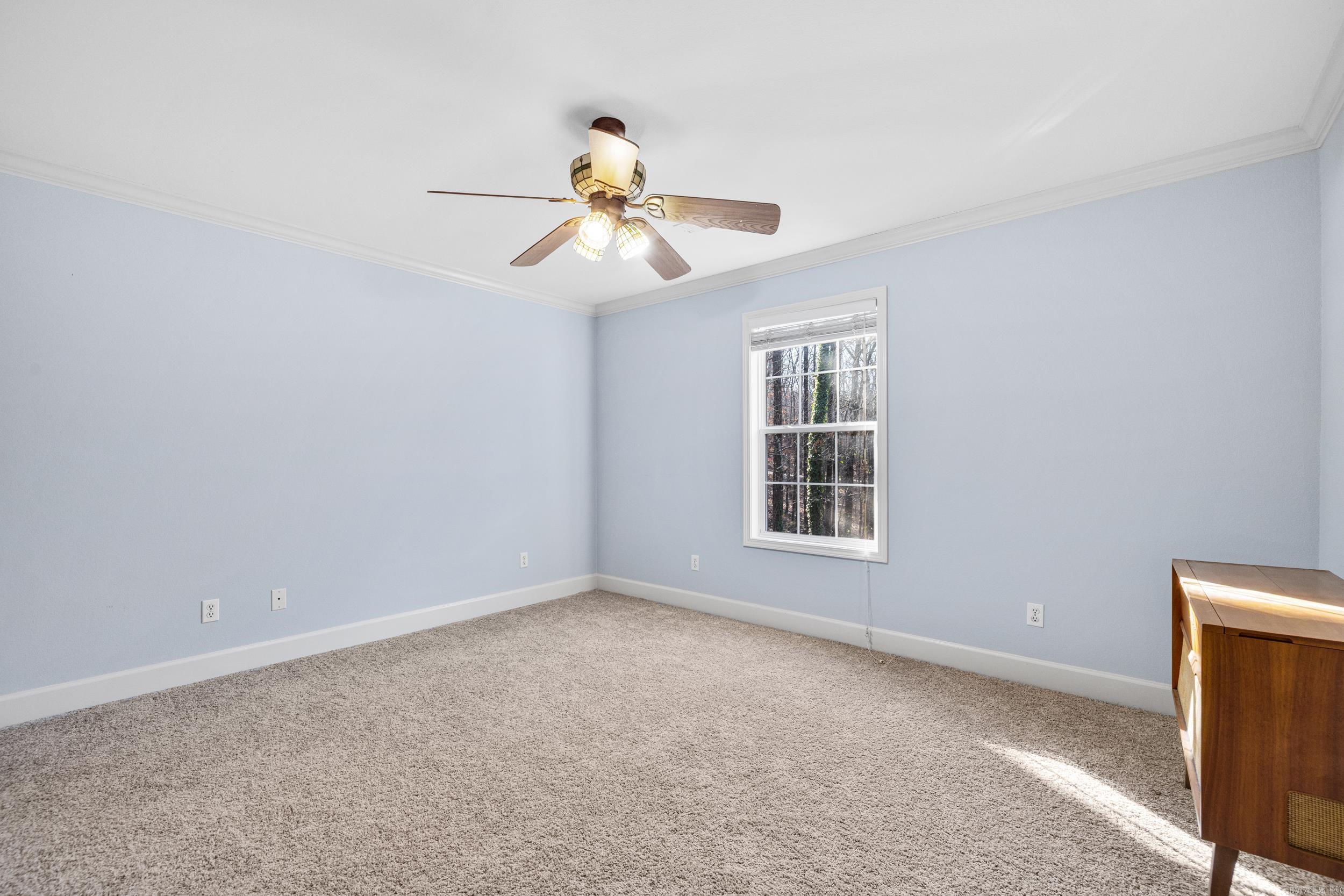 145 Eagles Nest Cove  Austin, AR