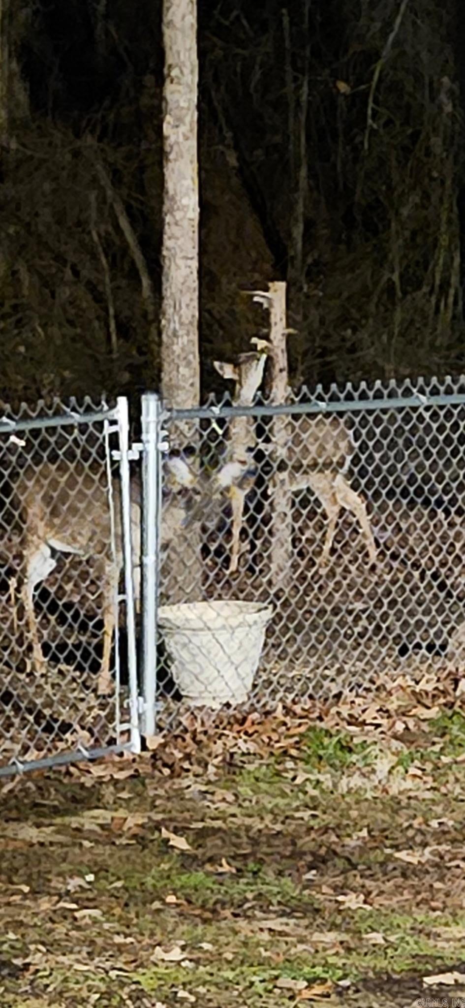 145 Eagles Nest Cove  Austin, AR