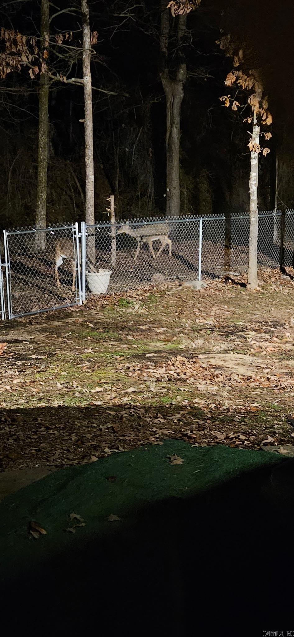 145 Eagles Nest Cove  Austin, AR