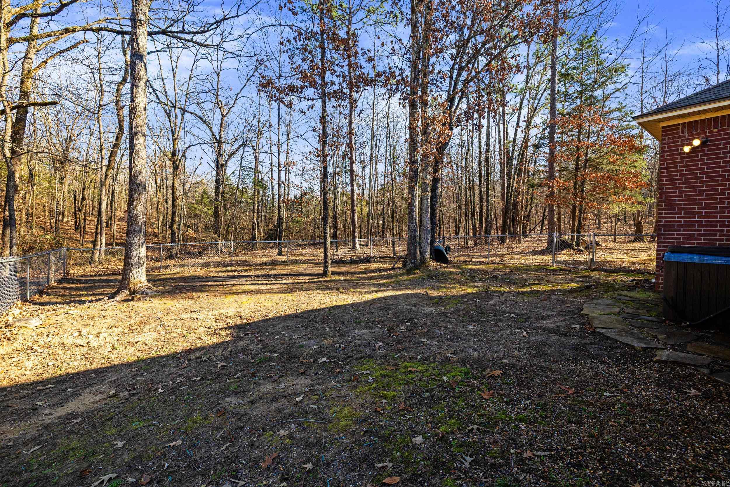 145 Eagles Nest Cove  Austin, AR