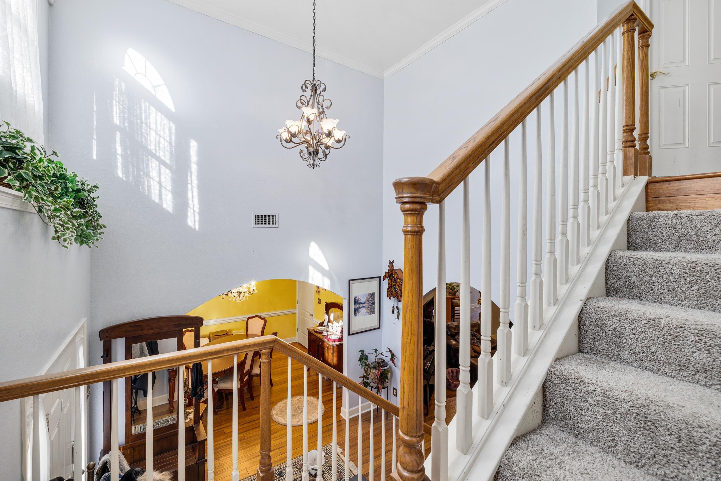 145 Eagles Nest Cove  Austin, AR