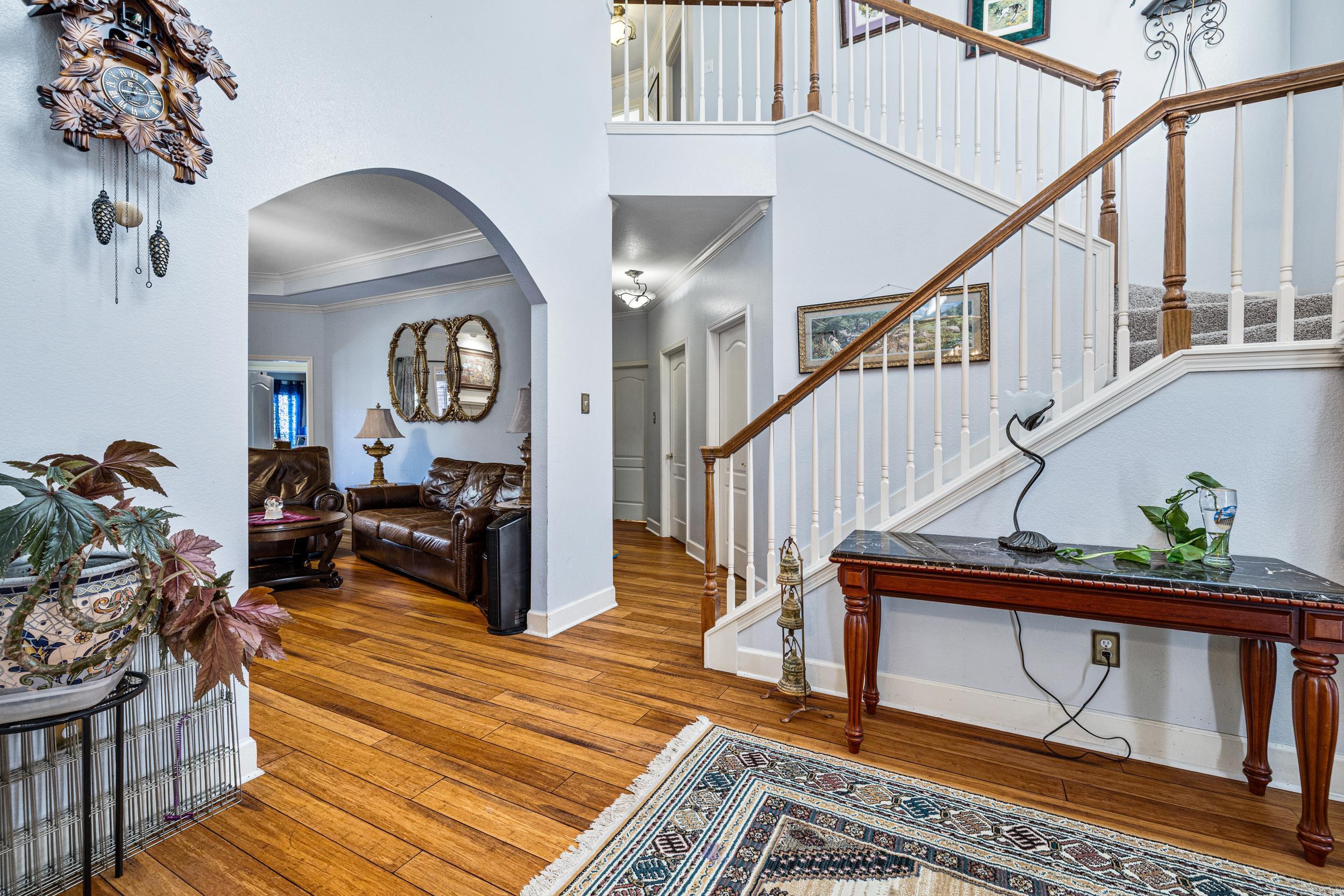 145 Eagles Nest Cove  Austin, AR