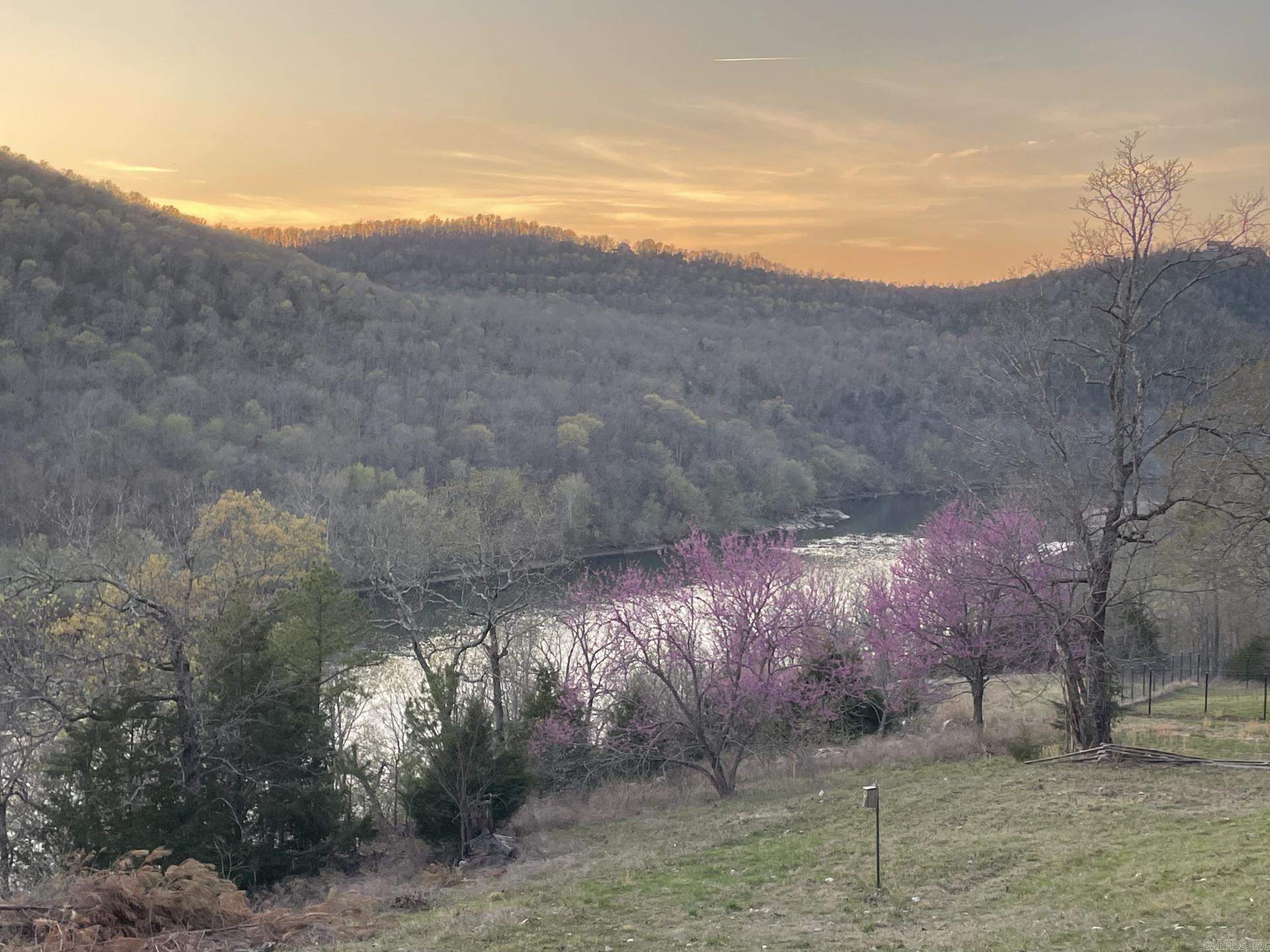 0 Cougar  Mountain Home, AR