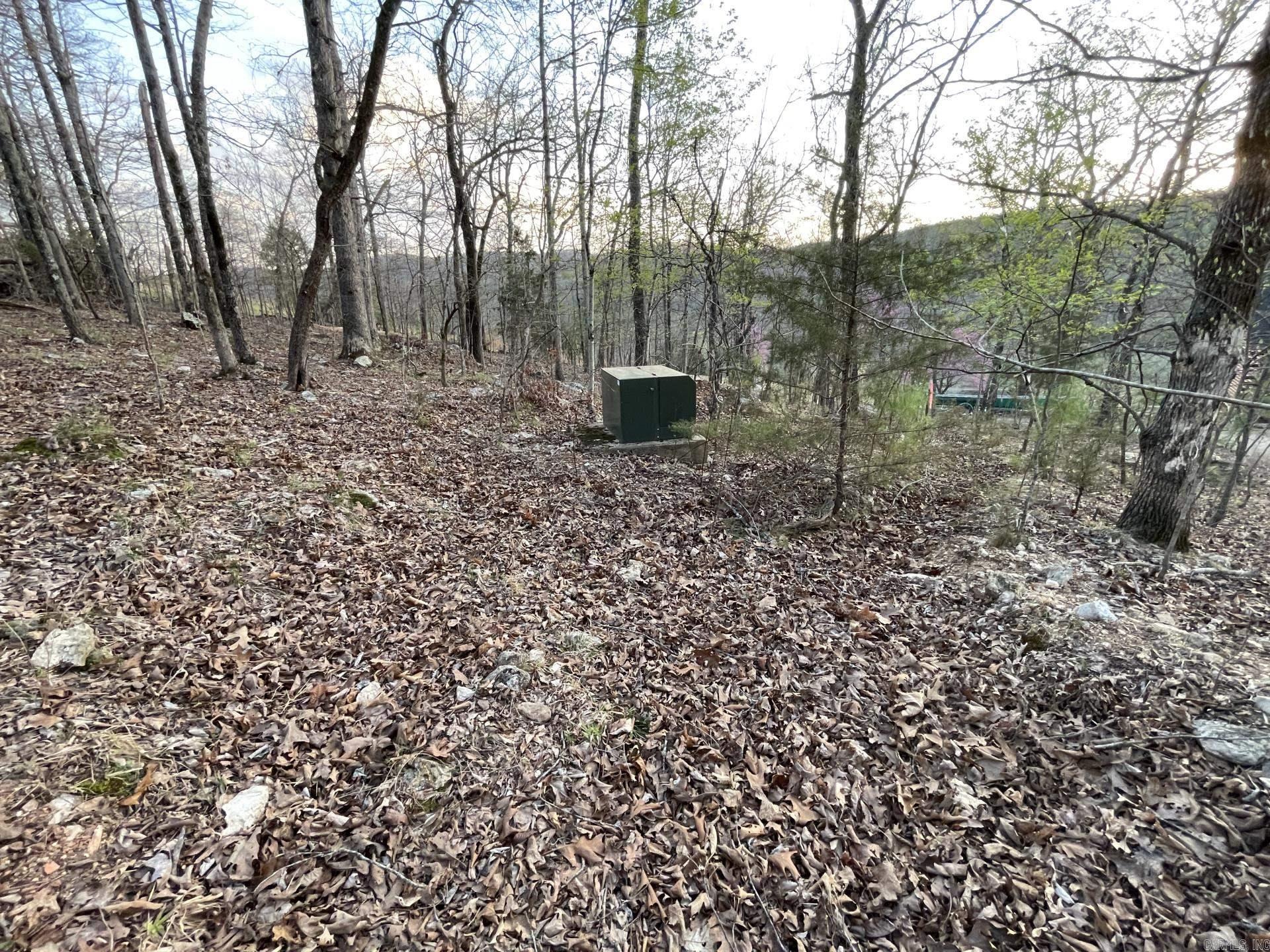 0 Cougar  Mountain Home, AR