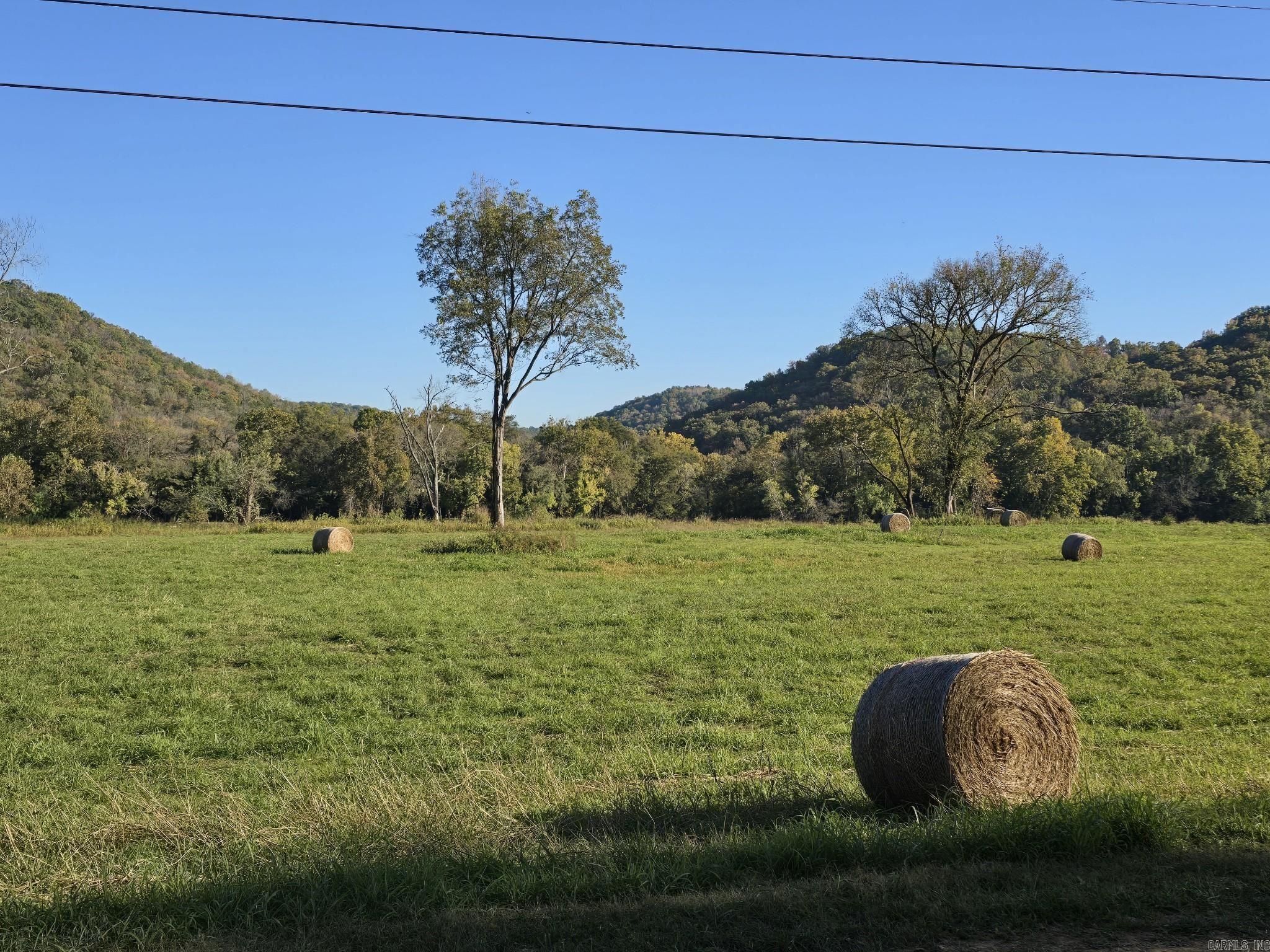 TBD W School House Hollow Road  Melbourne, AR