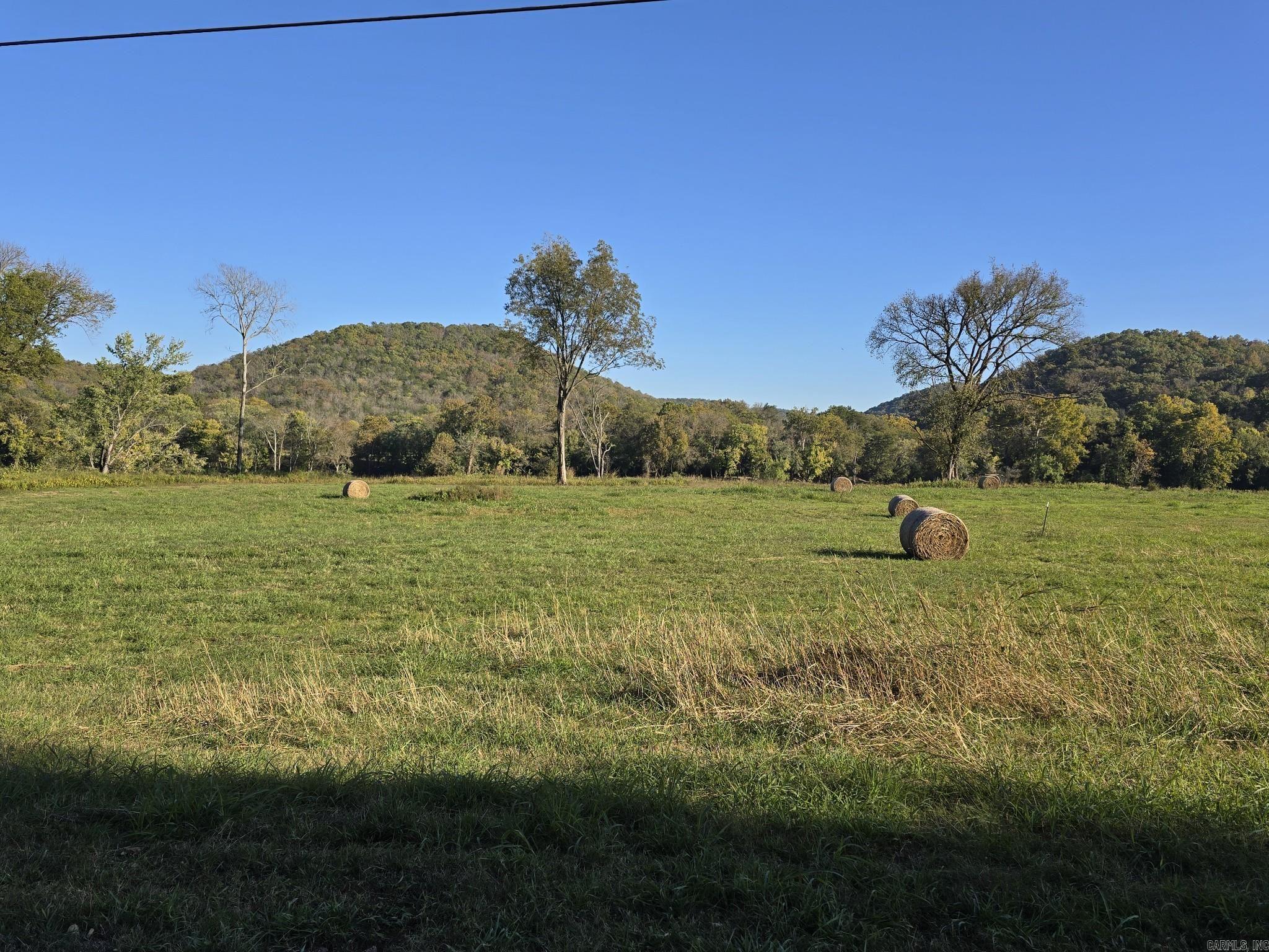 TBD W School House Hollow Road  Melbourne, AR