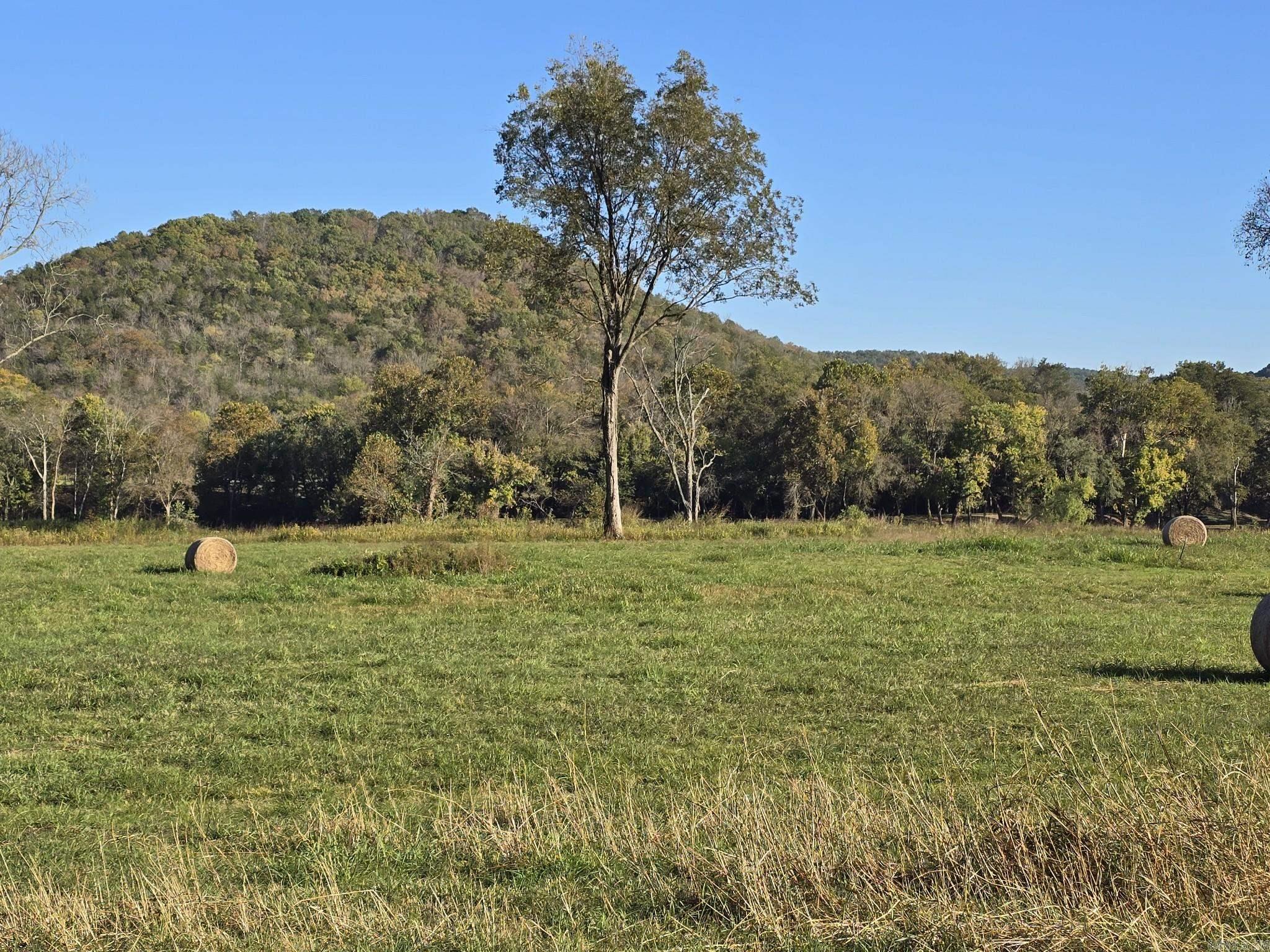 TBD W School House Hollow Road  Melbourne, AR