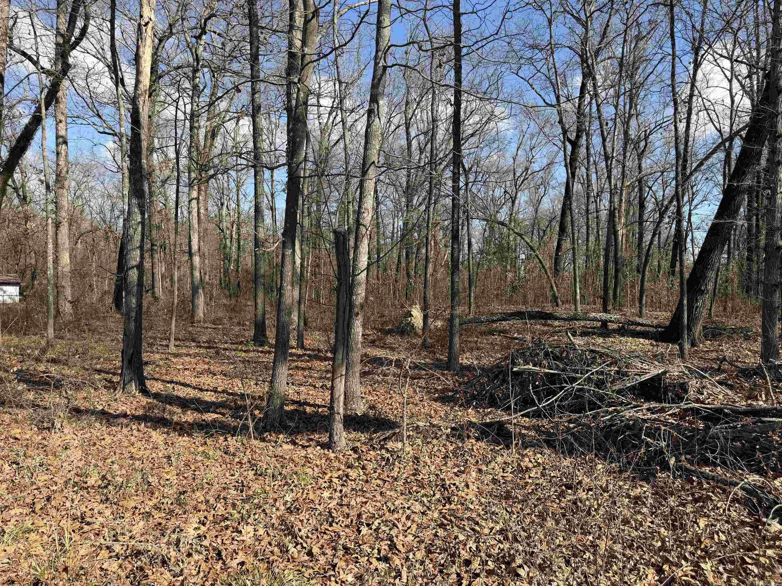 3903 Mallard Drive  Pine Bluff, AR