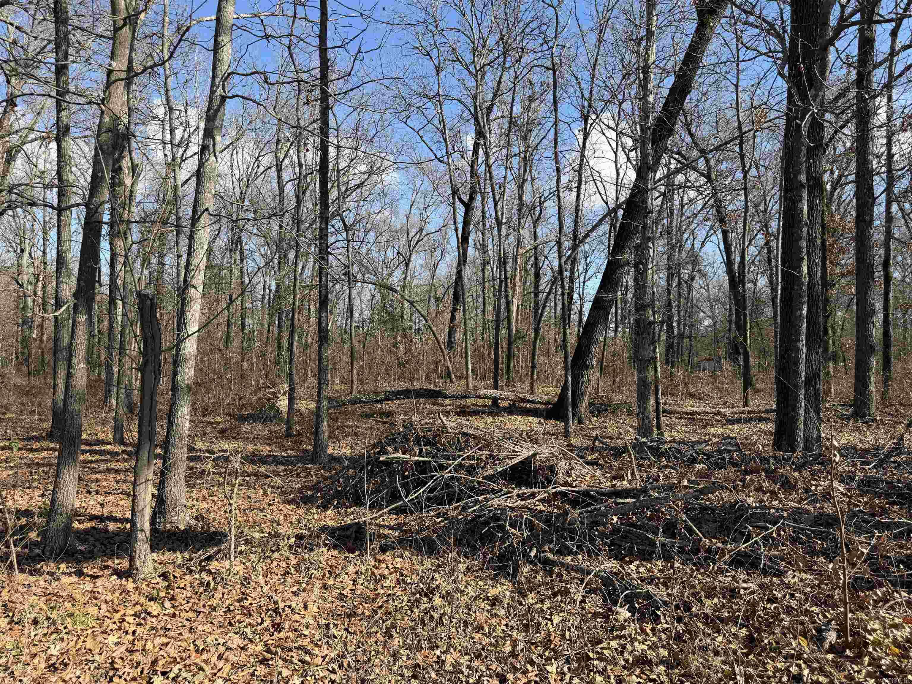 3903 Mallard Drive  Pine Bluff, AR