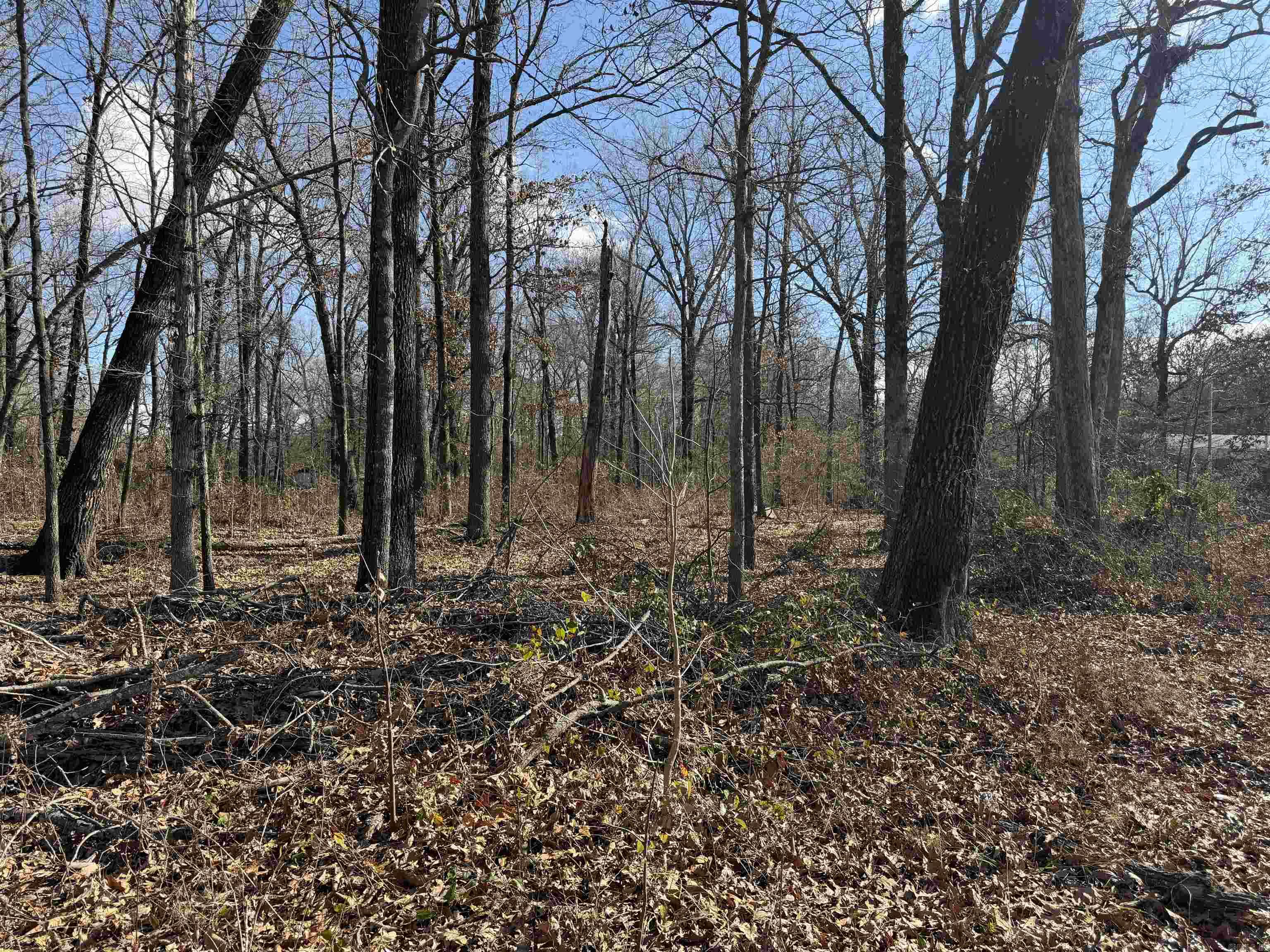 3903 Mallard Drive  Pine Bluff, AR