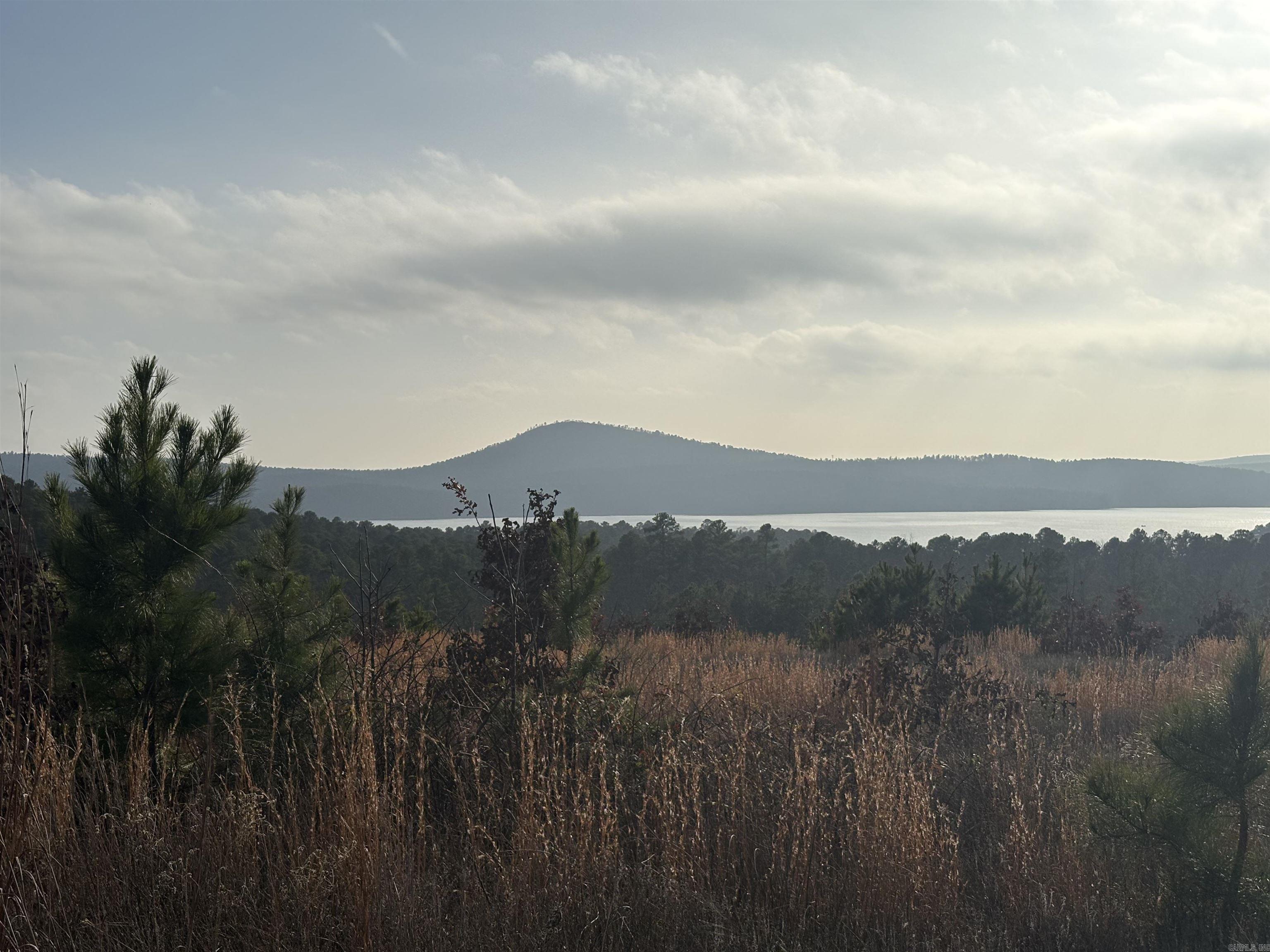 Lot 75 Waterview Drive  Roland, AR