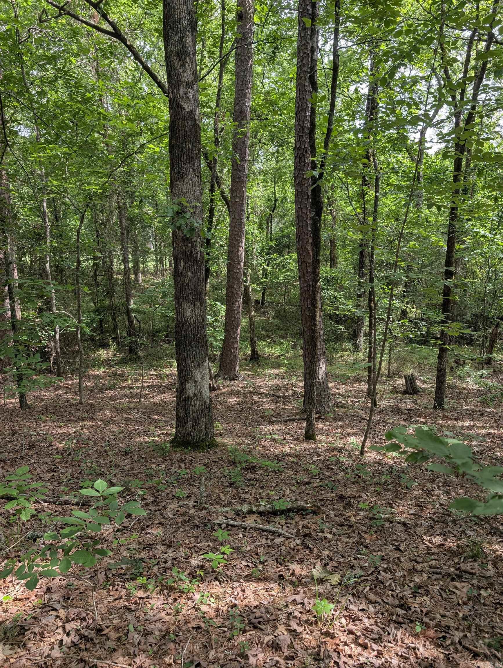 42 San Pablo  Hot Springs Village, AR