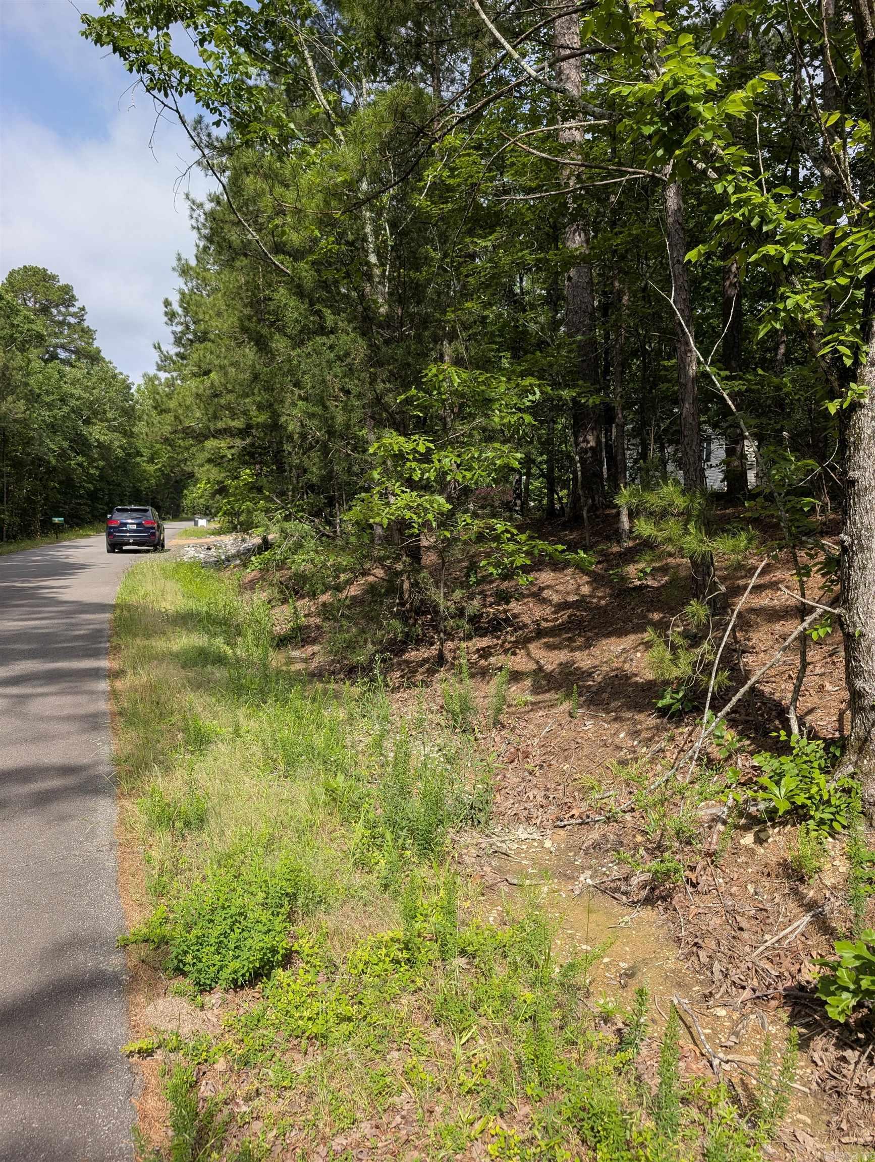 42 San Pablo  Hot Springs Village, AR